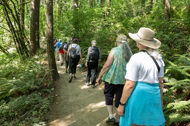 Wildwood Walk2023-101 copy Kathryn Hill.jpg