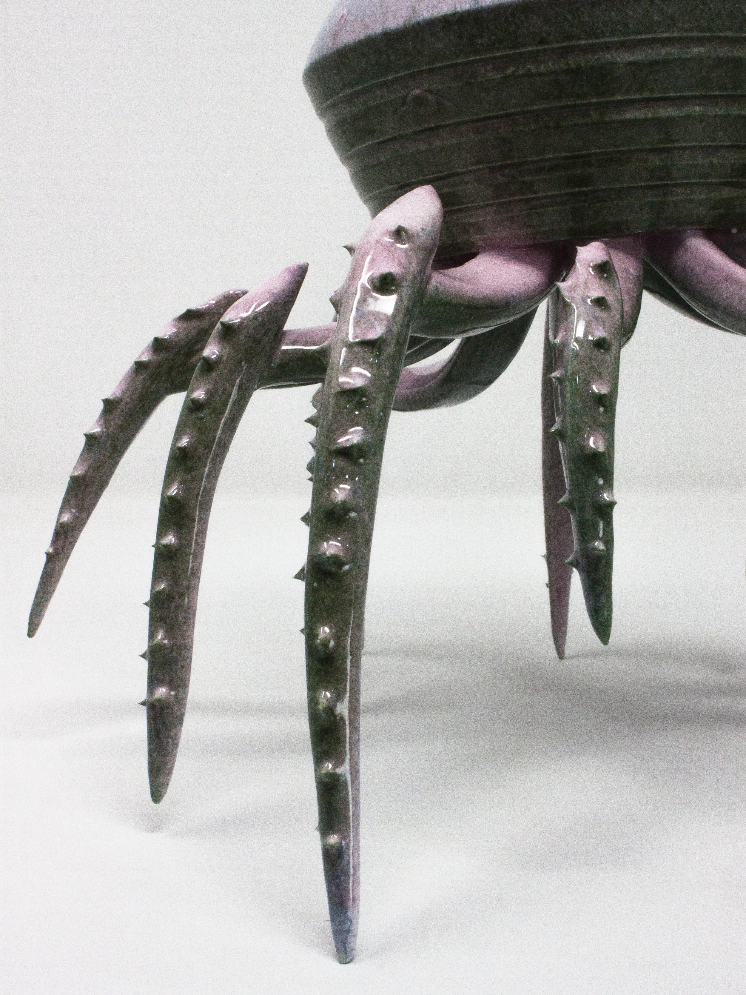 crawl7806.jpg
