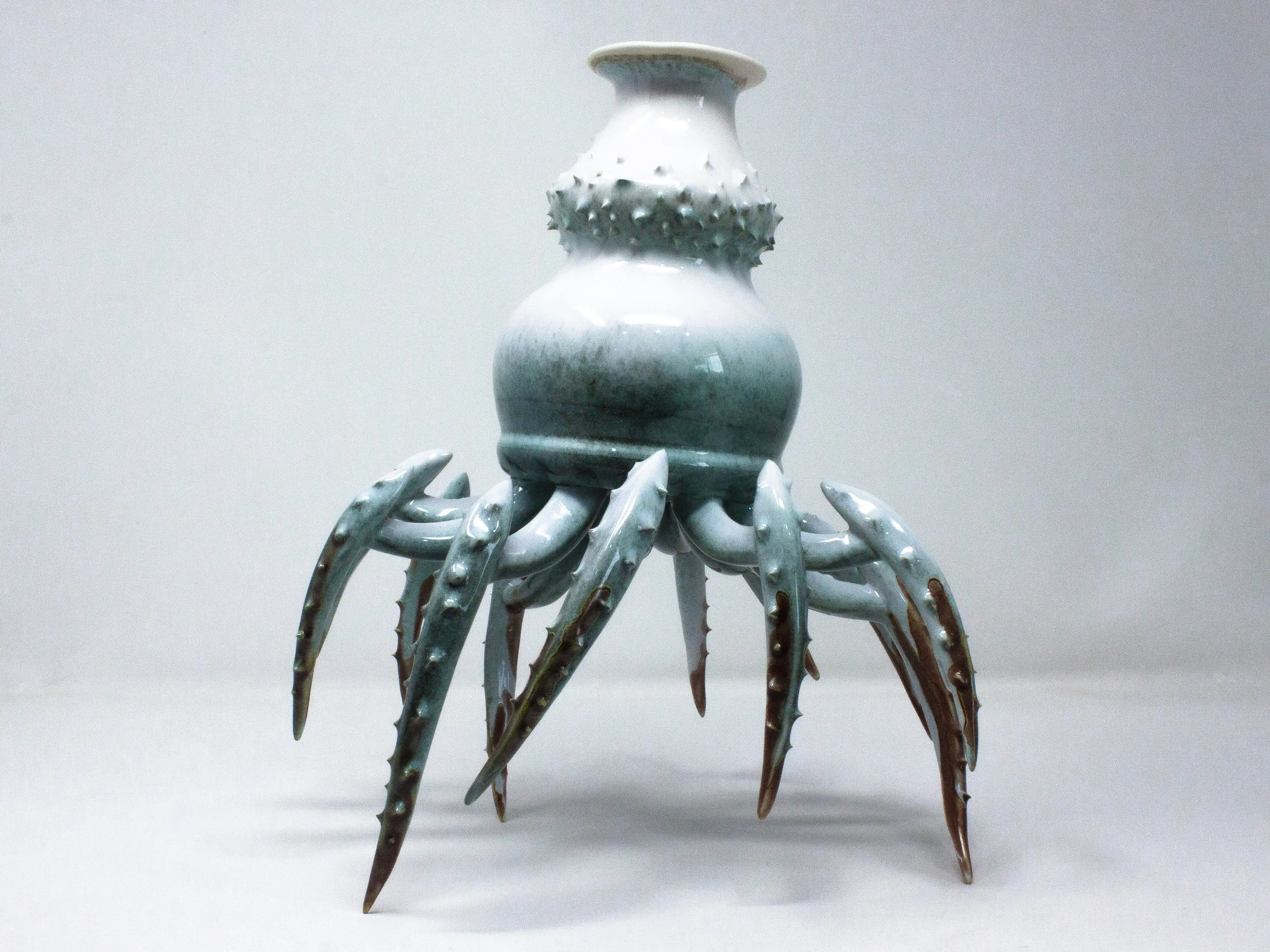 crawl7144.jpg