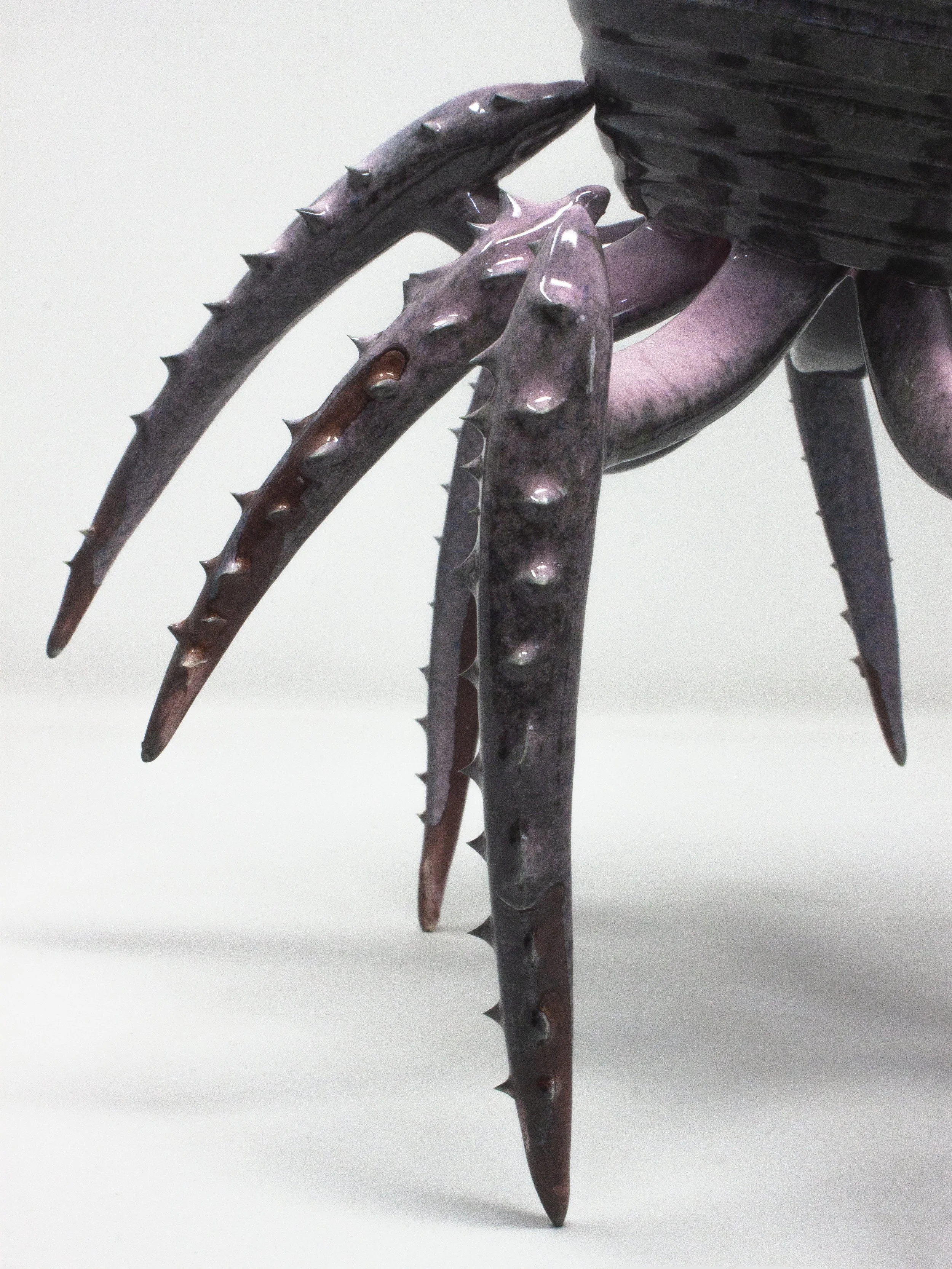 crawl7671.jpg