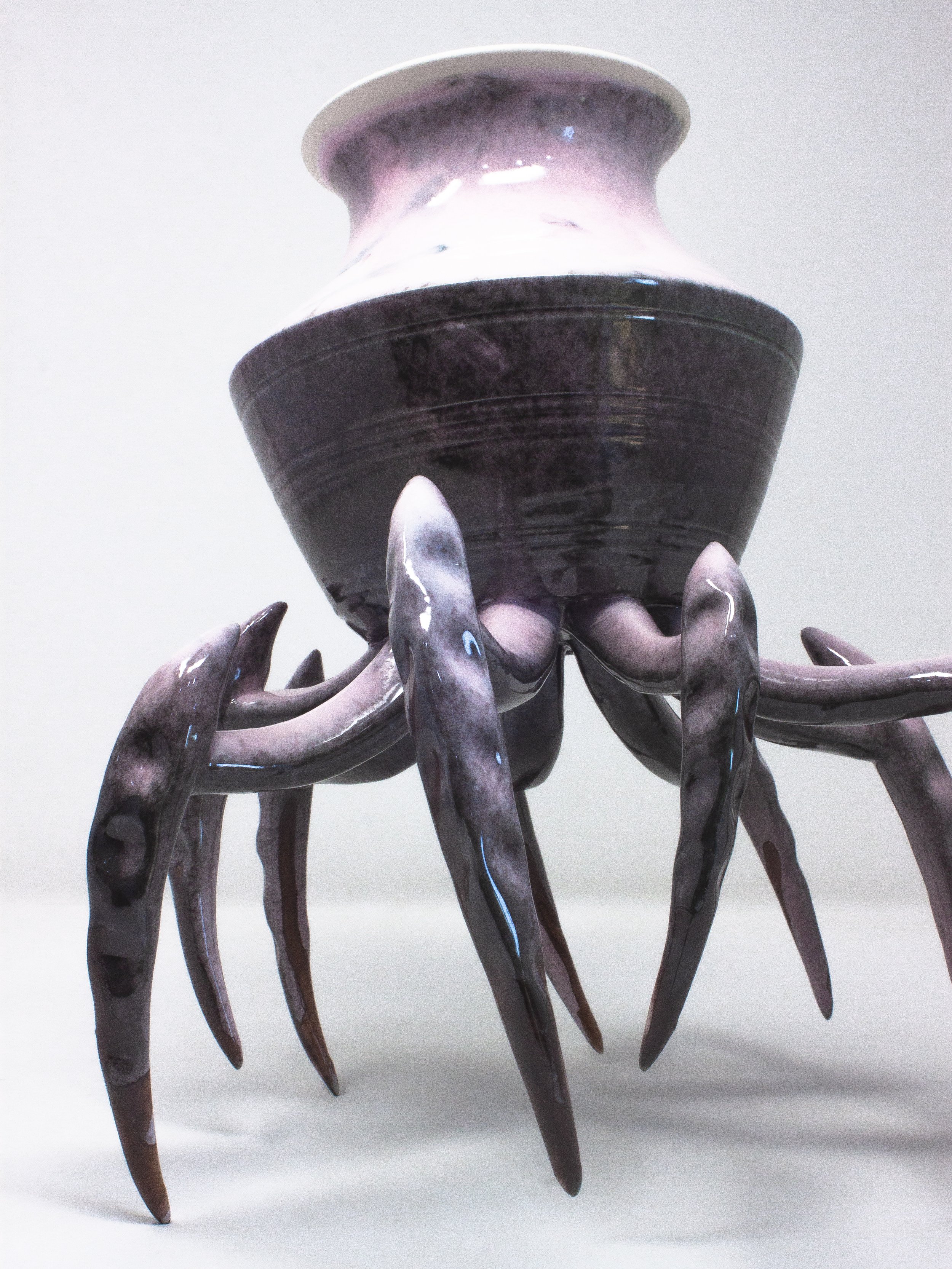 crawl7244.jpg