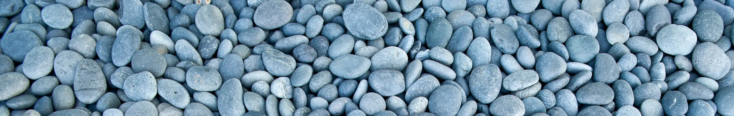 iStock-175524346.jpg