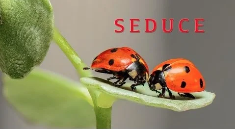 'Seduction in the Animal Kingdom: 101' Live at The People's Improv Theater