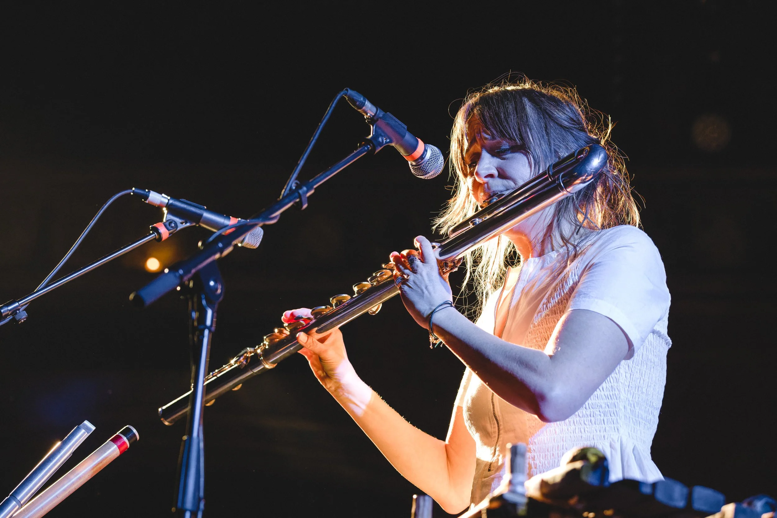 BFS Hampshire Flute Day 'Loops, Layers, and Lions' with Eliza Marshall