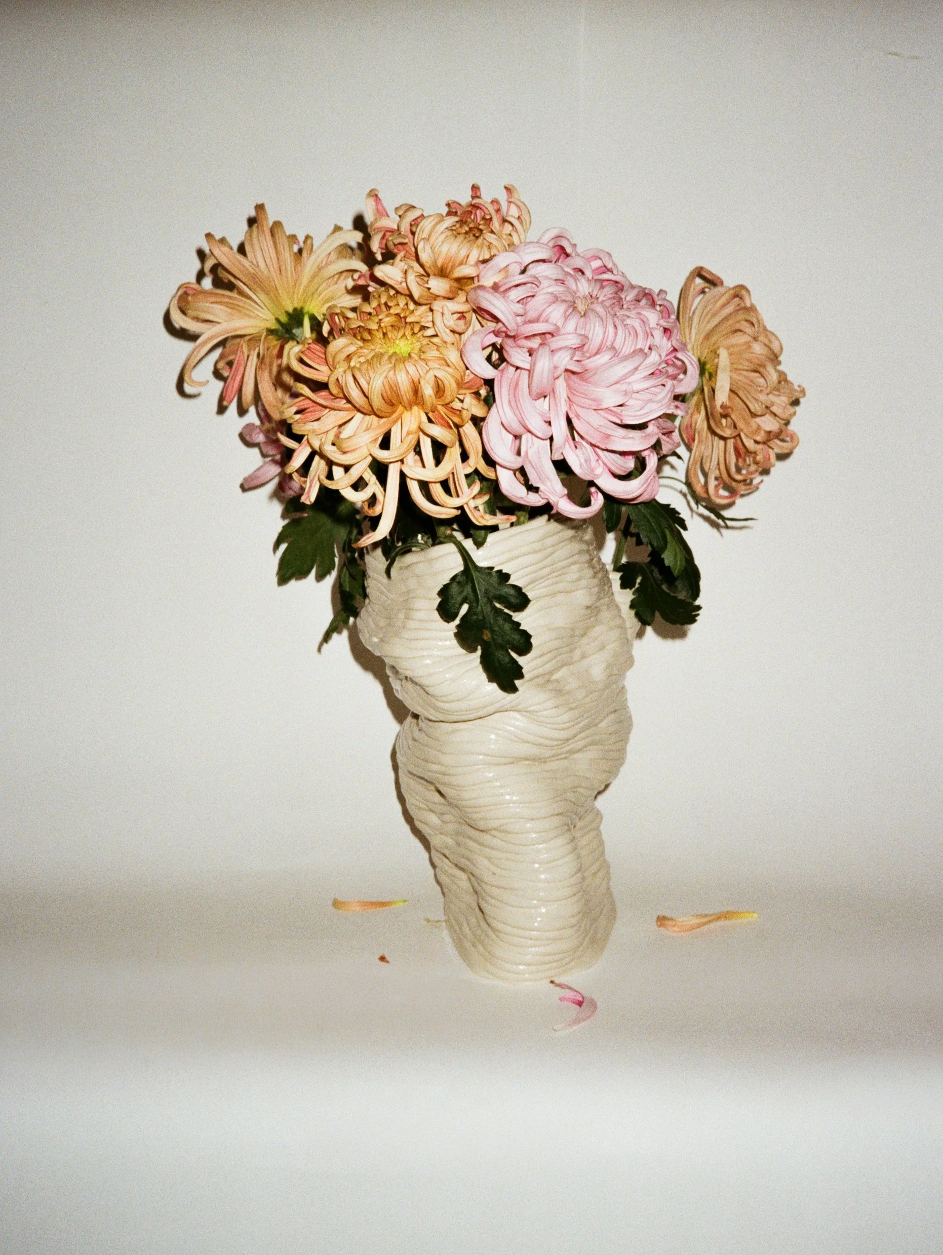 31880029-Edit.jpg