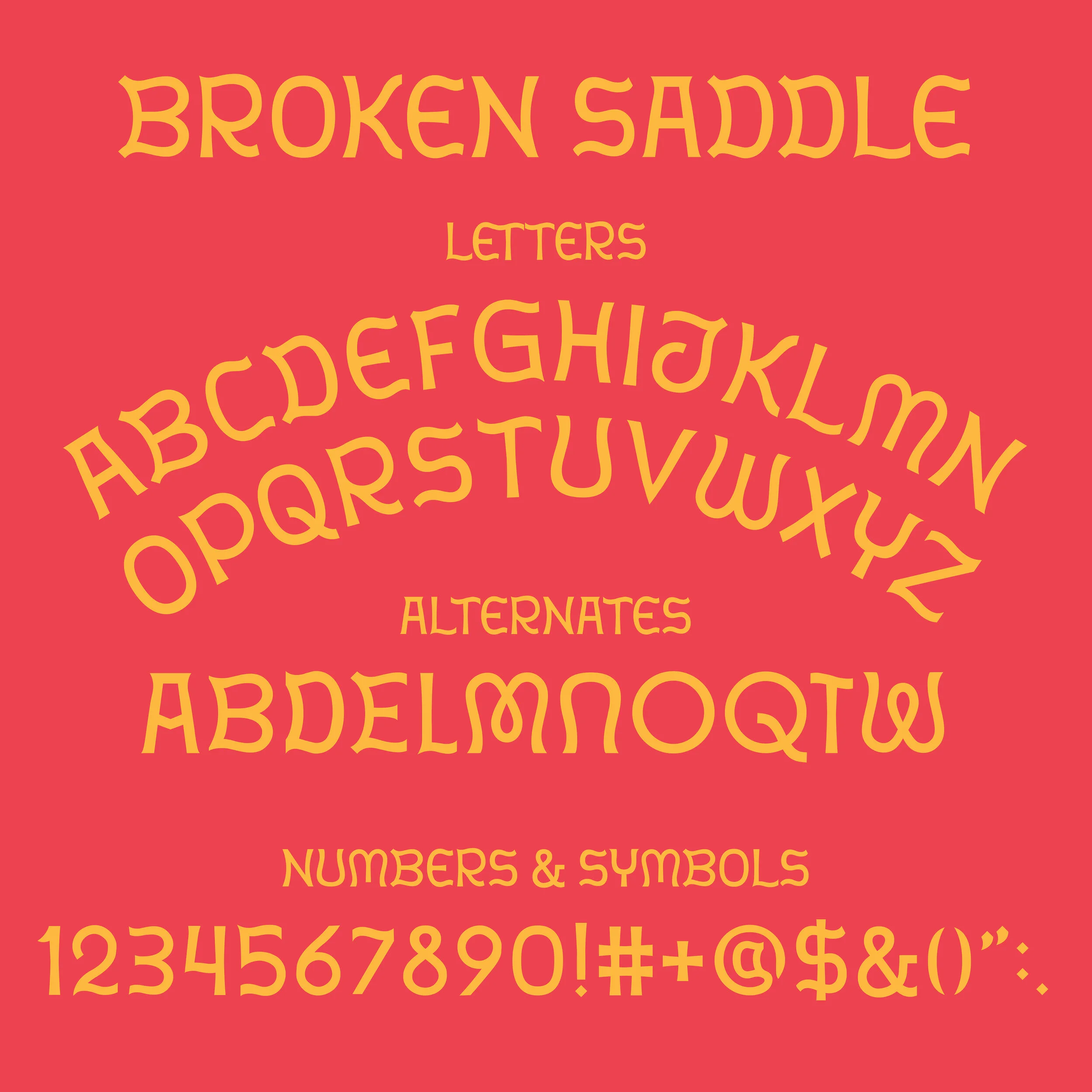 broken_saddle_display_card10.jpg
