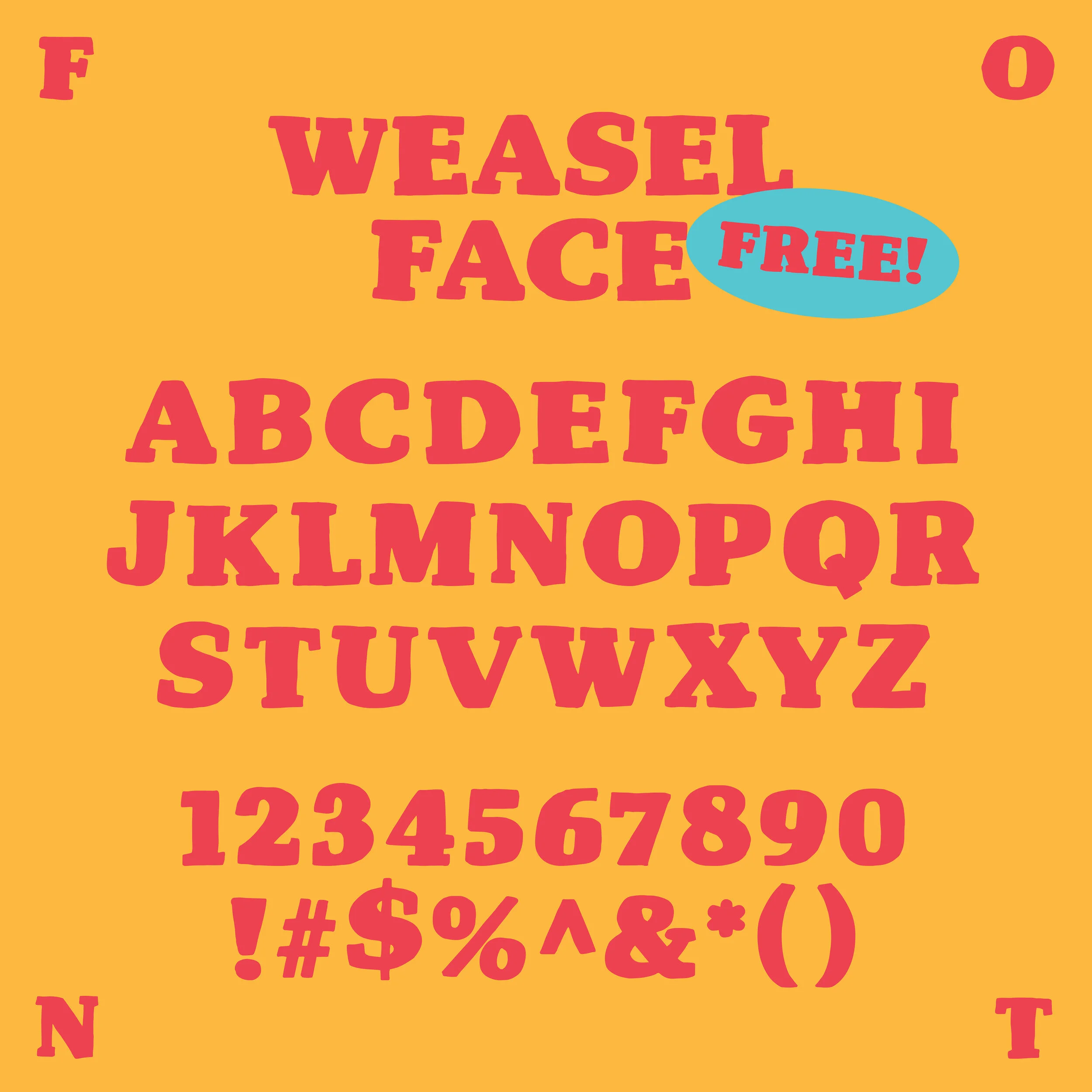 weasel_face_display_card6.jpg