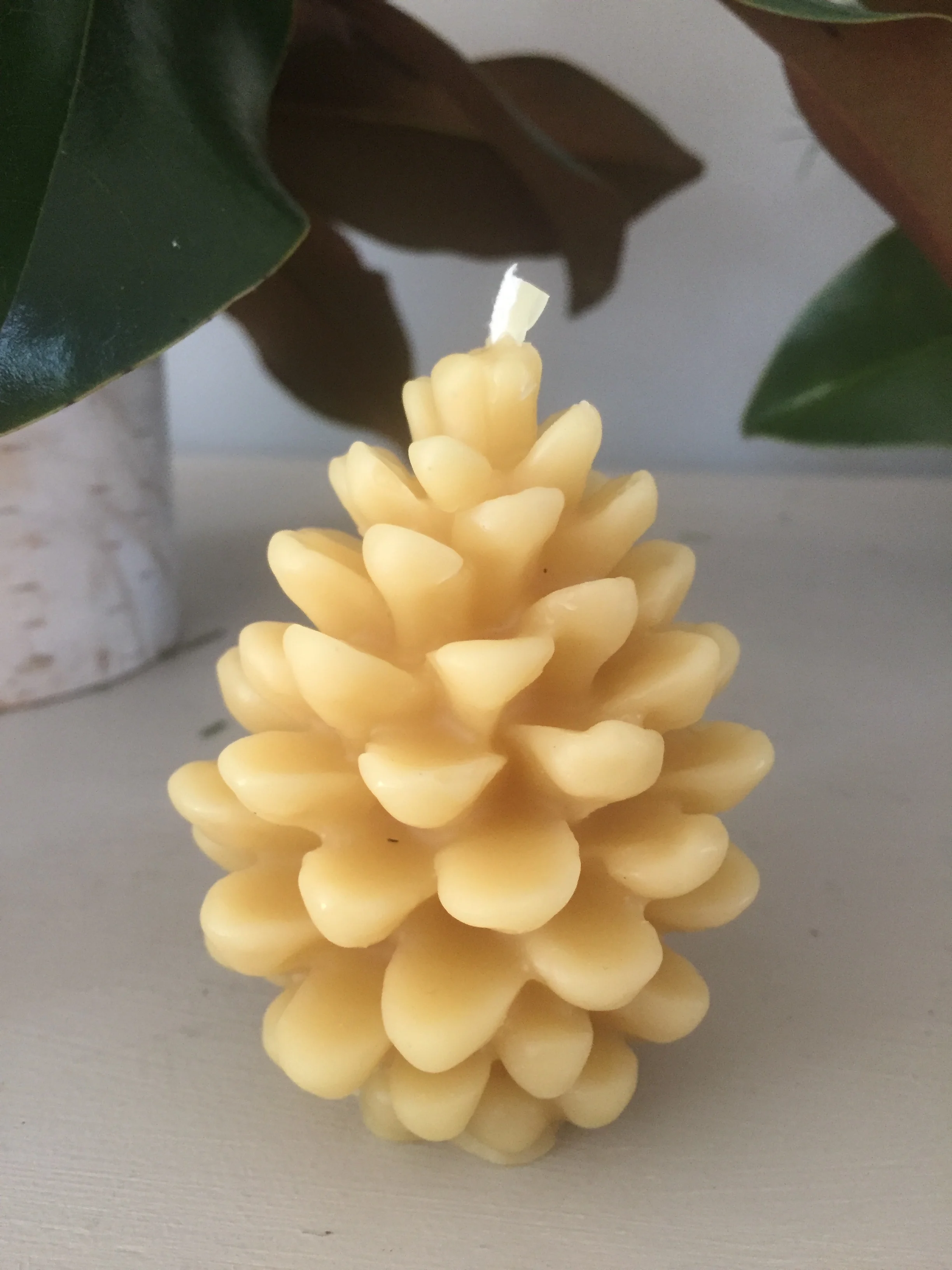 Beeswax Pinecone Candle, $12