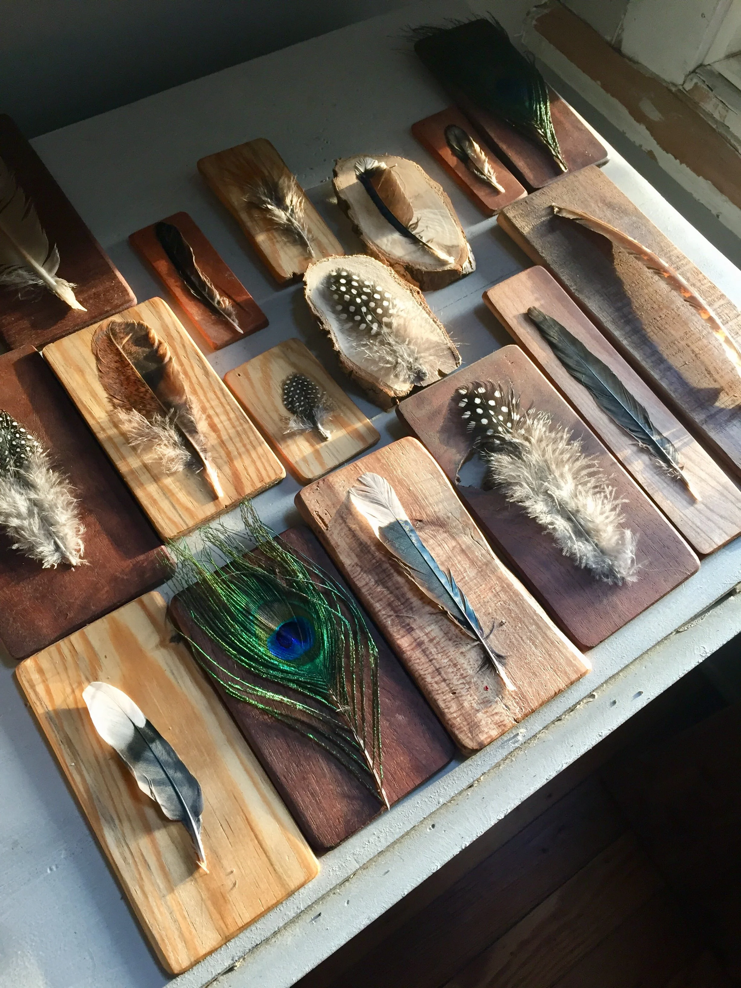 Feather & Wood Wall Hangings