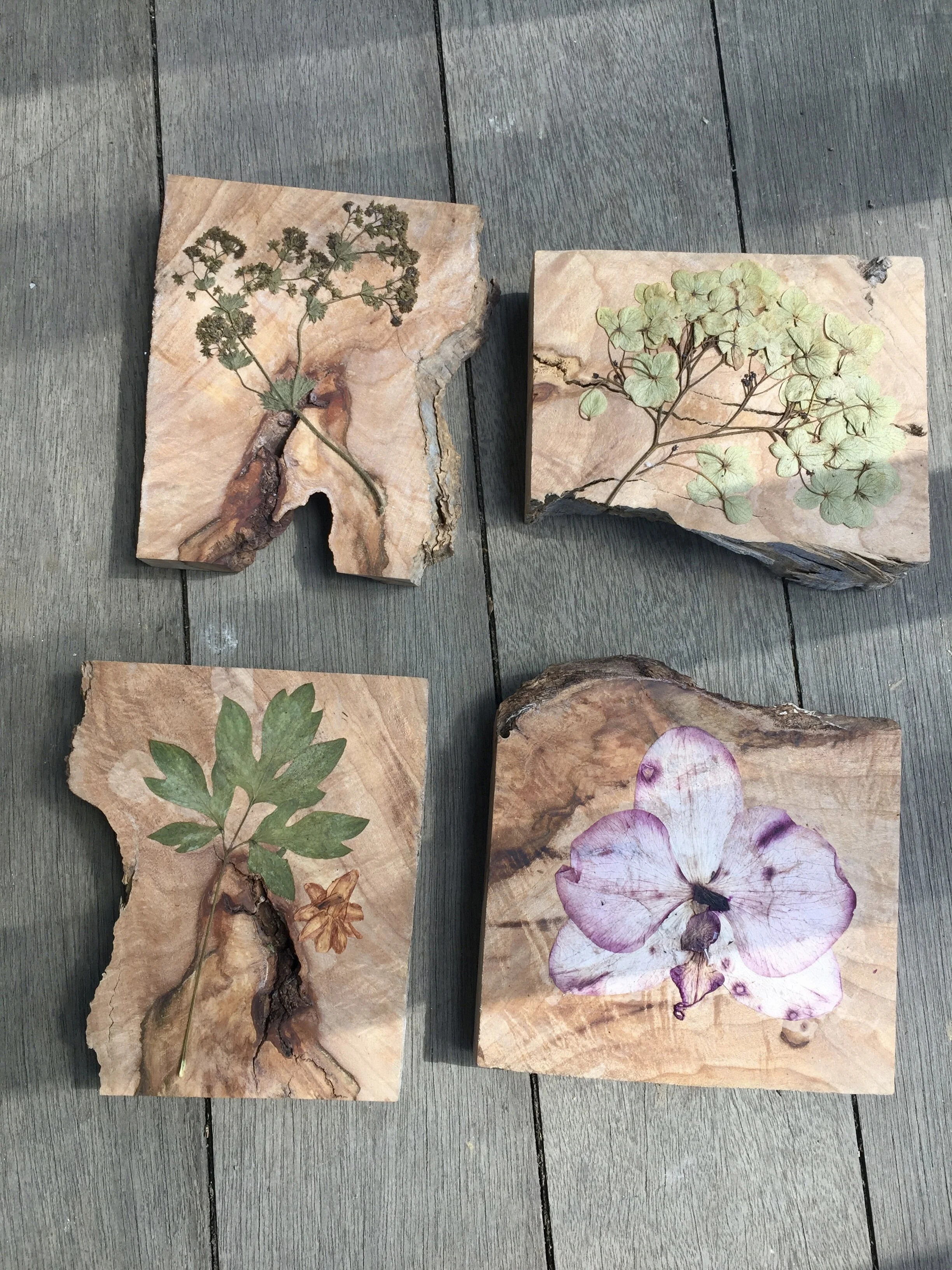 Botanical Wall Art