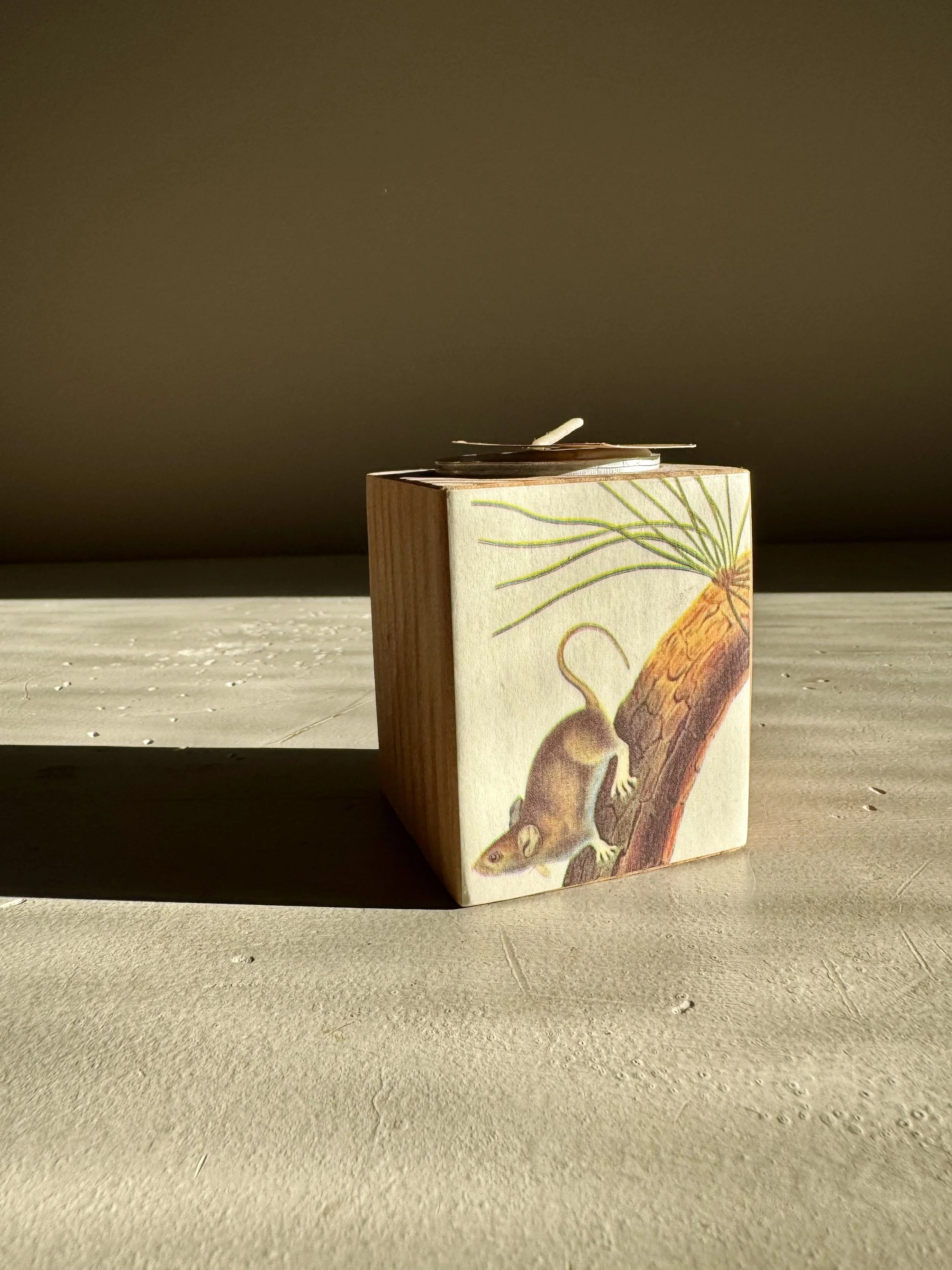 Mouse Candle Holder, $24