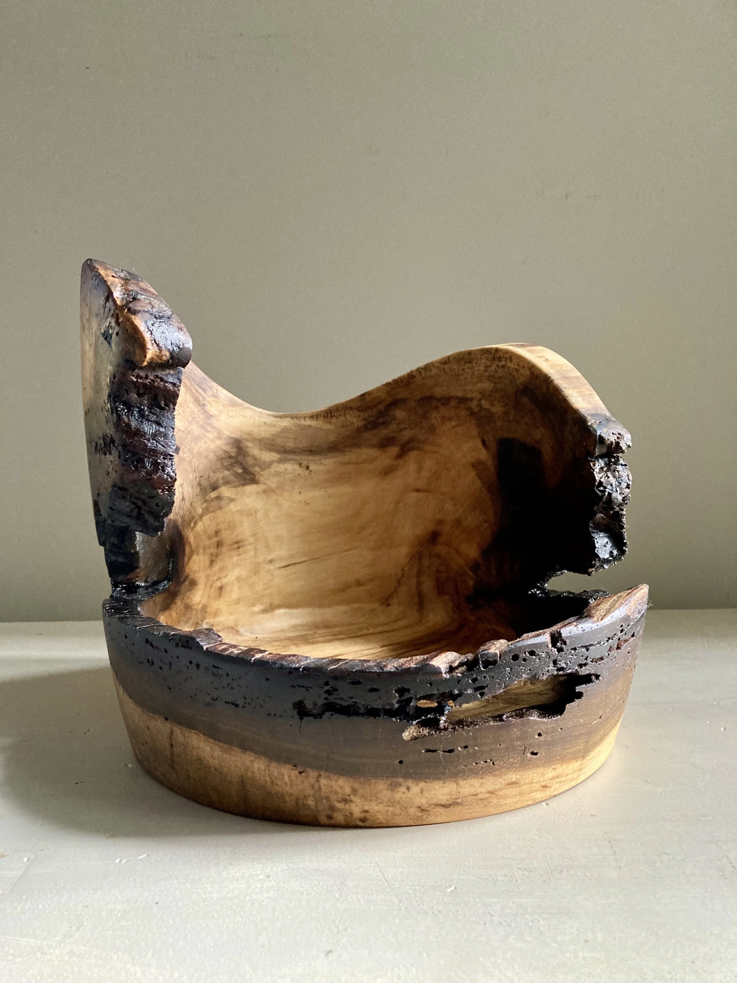 The Other Seat (Tyler Arboretum)