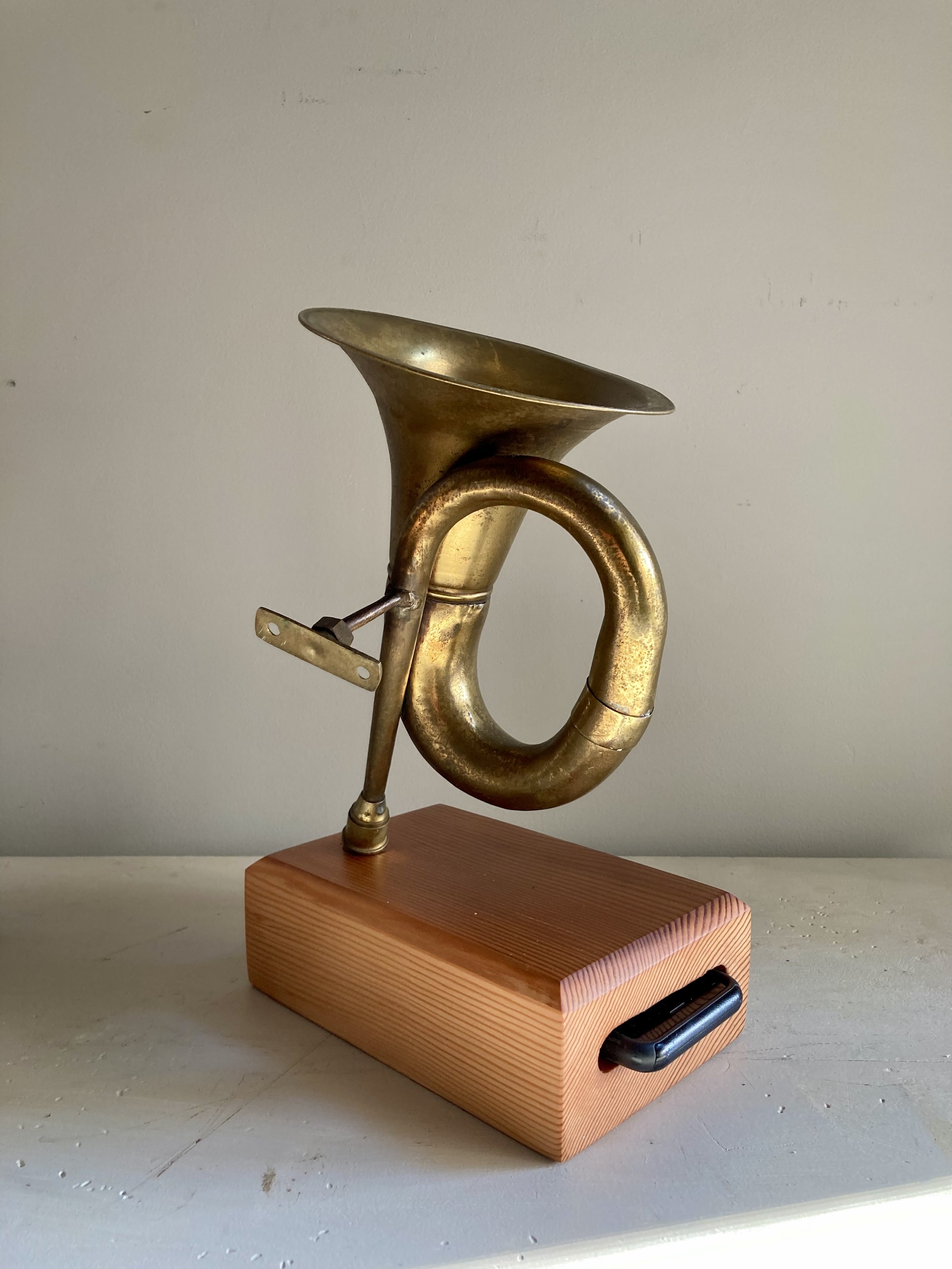 Siren #226: Pine Bark