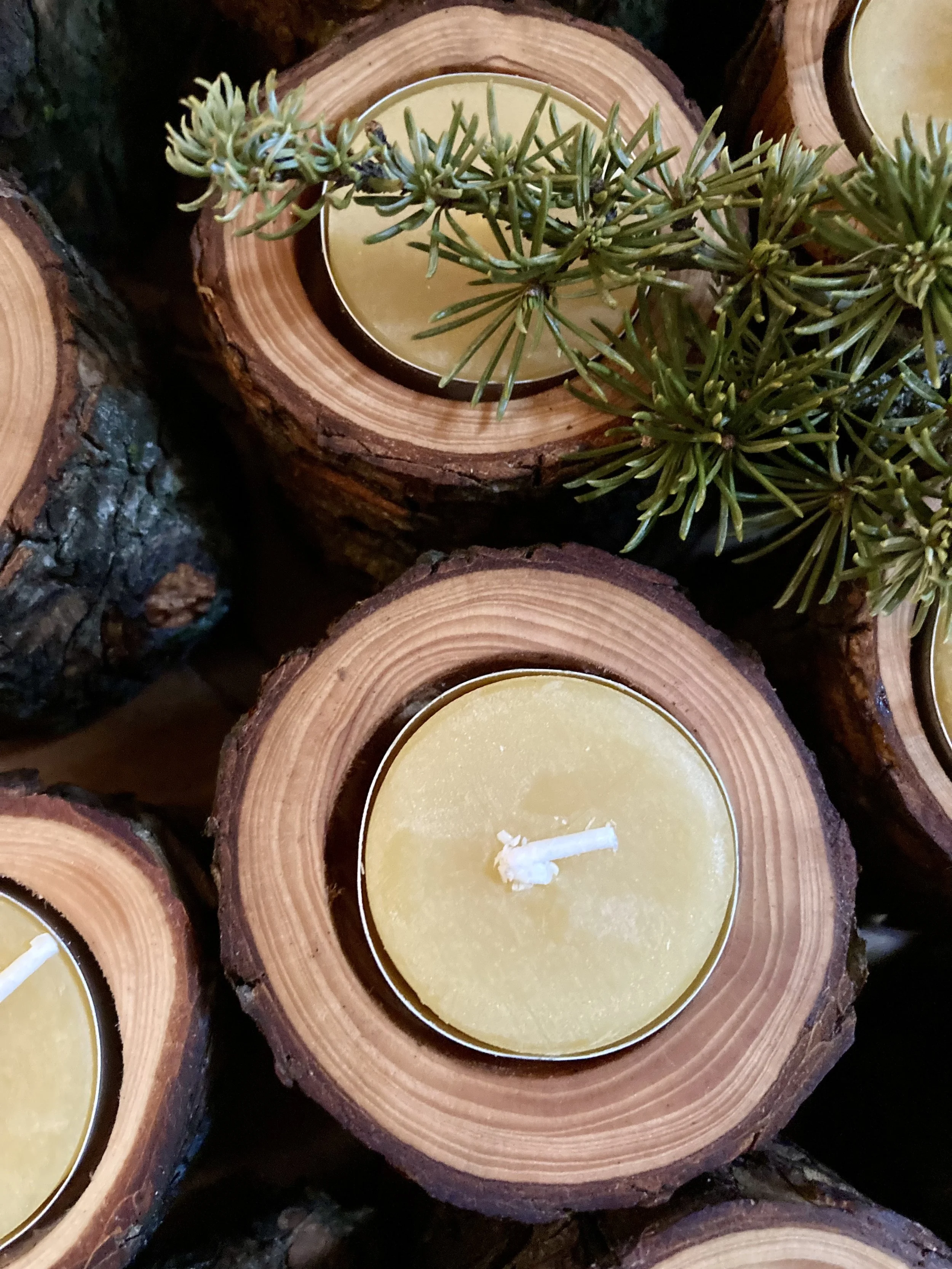 Tyler Arboretum's Cedar of Lebanon Candle Holder, $12-$14