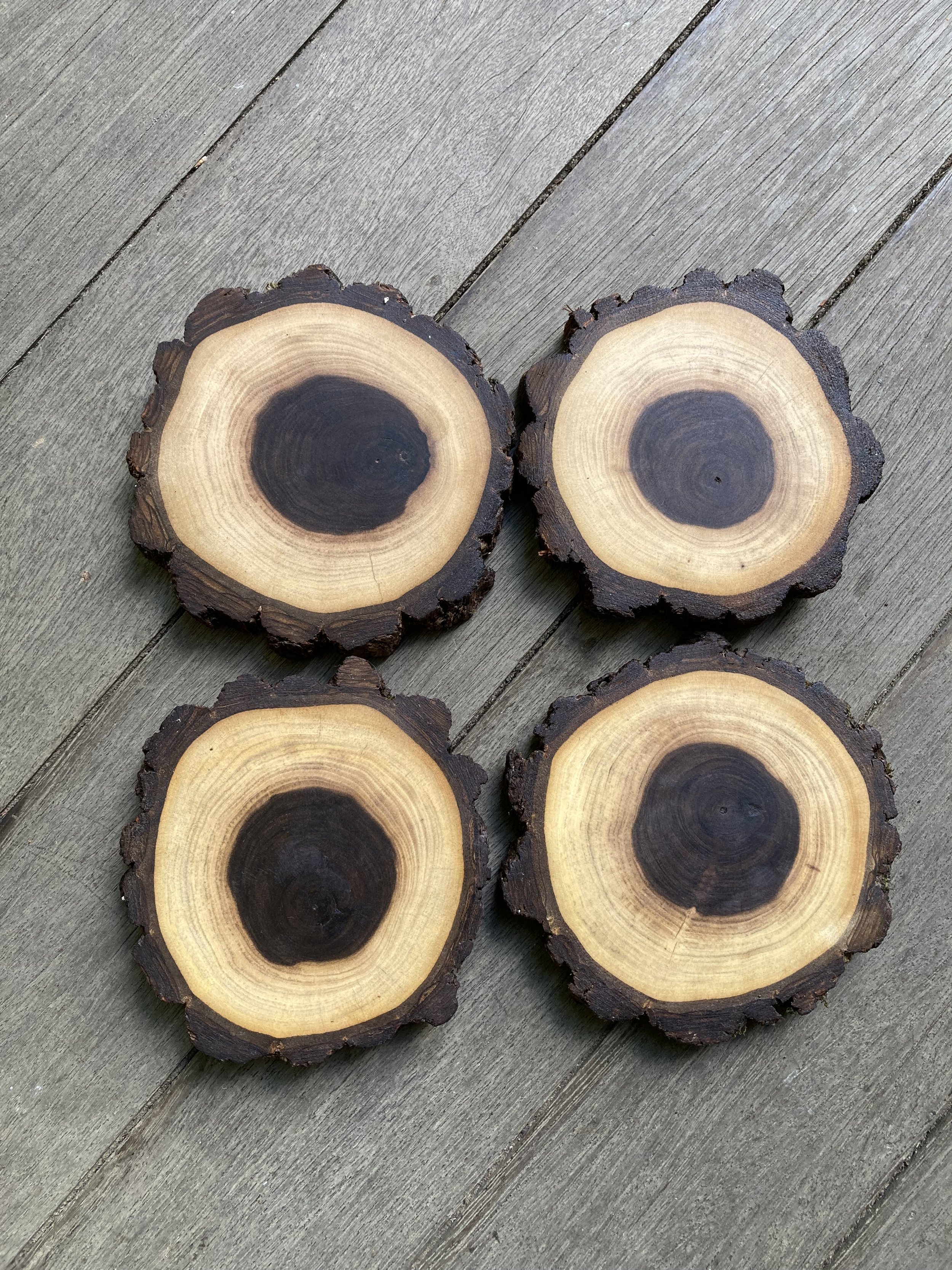 Black Walnut Coasters