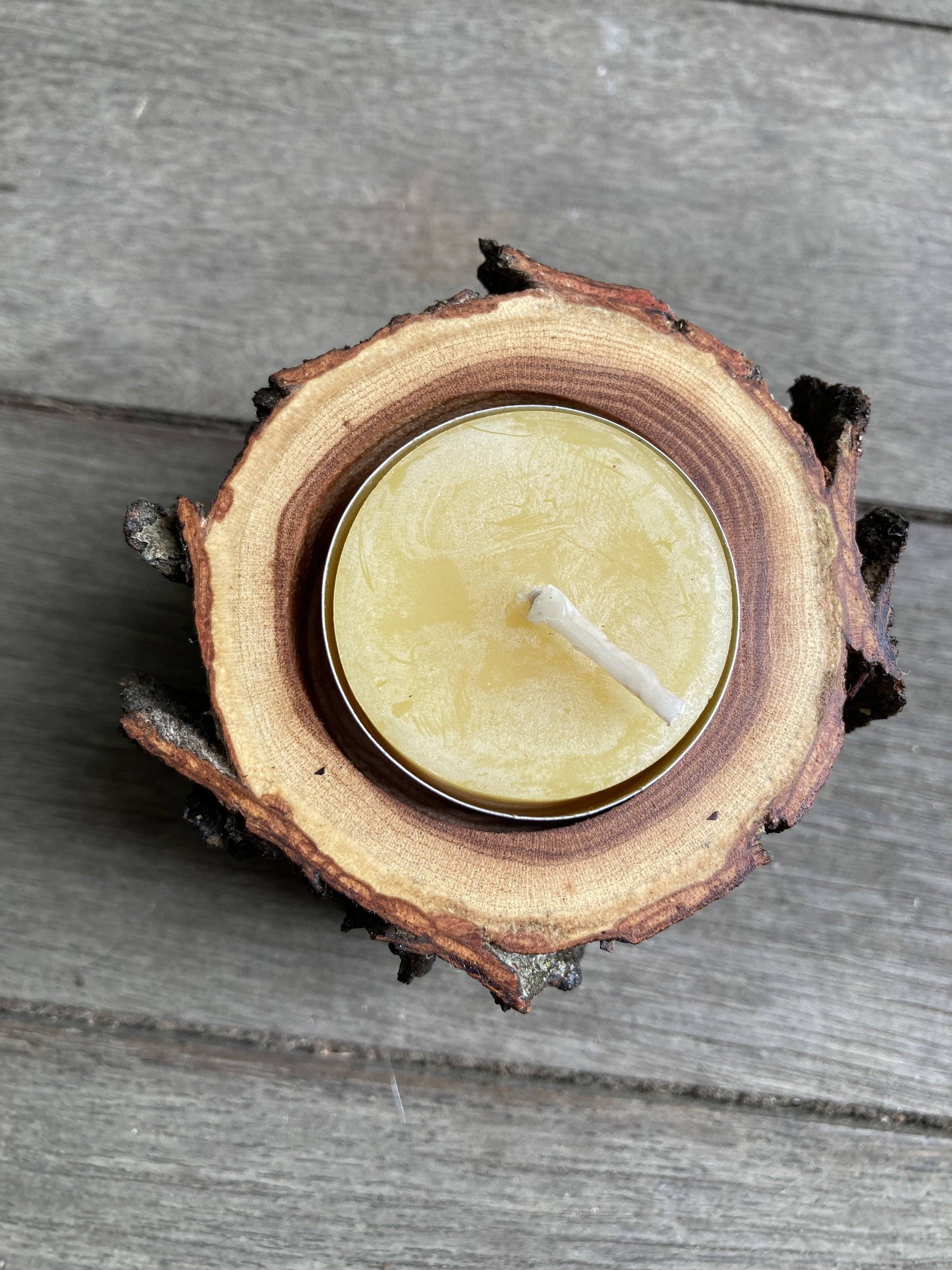 Tyler Arboretums' Kentucky Coffee Tree Candle Holders