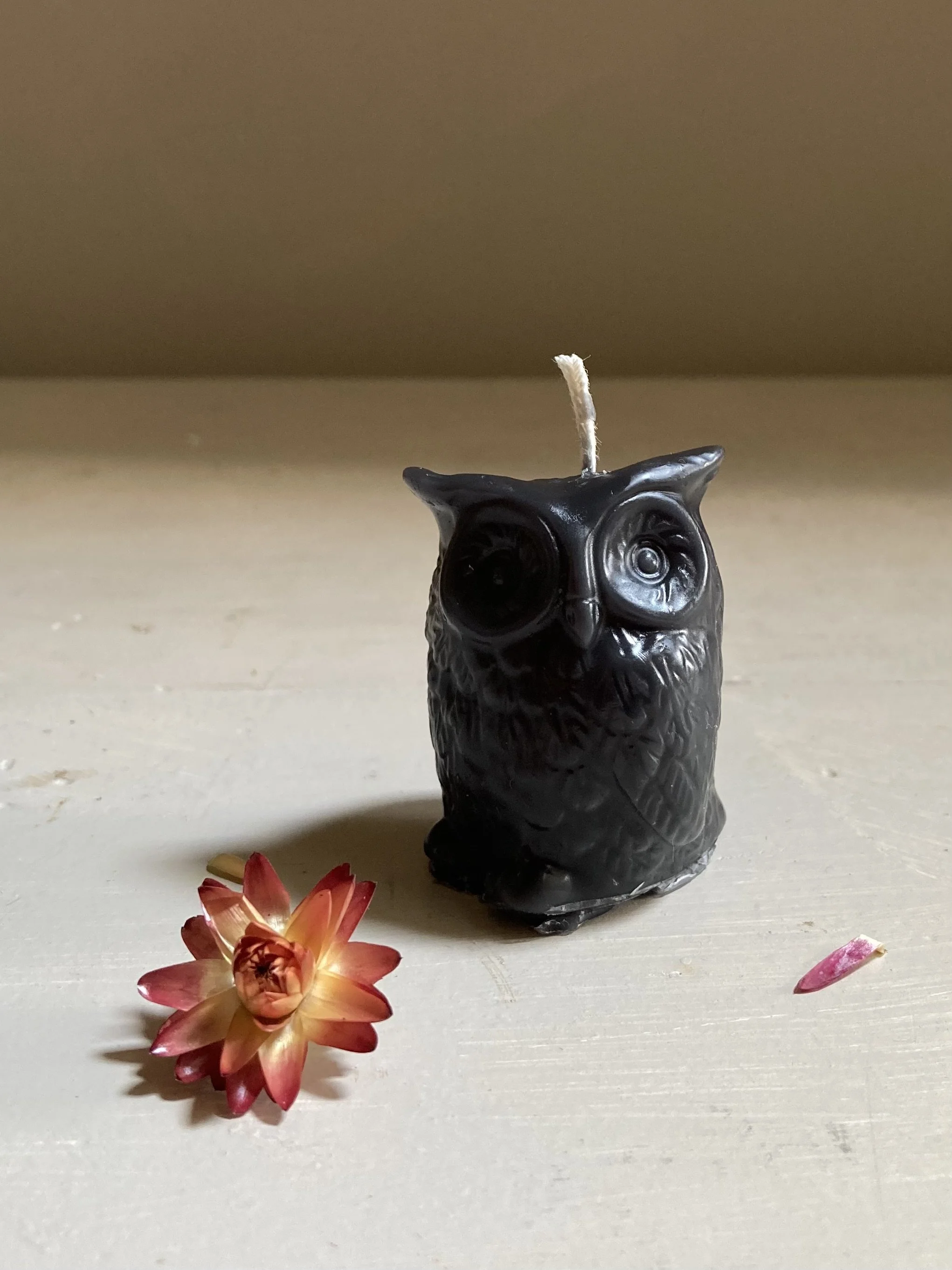 Black Beeswax Owl, $10