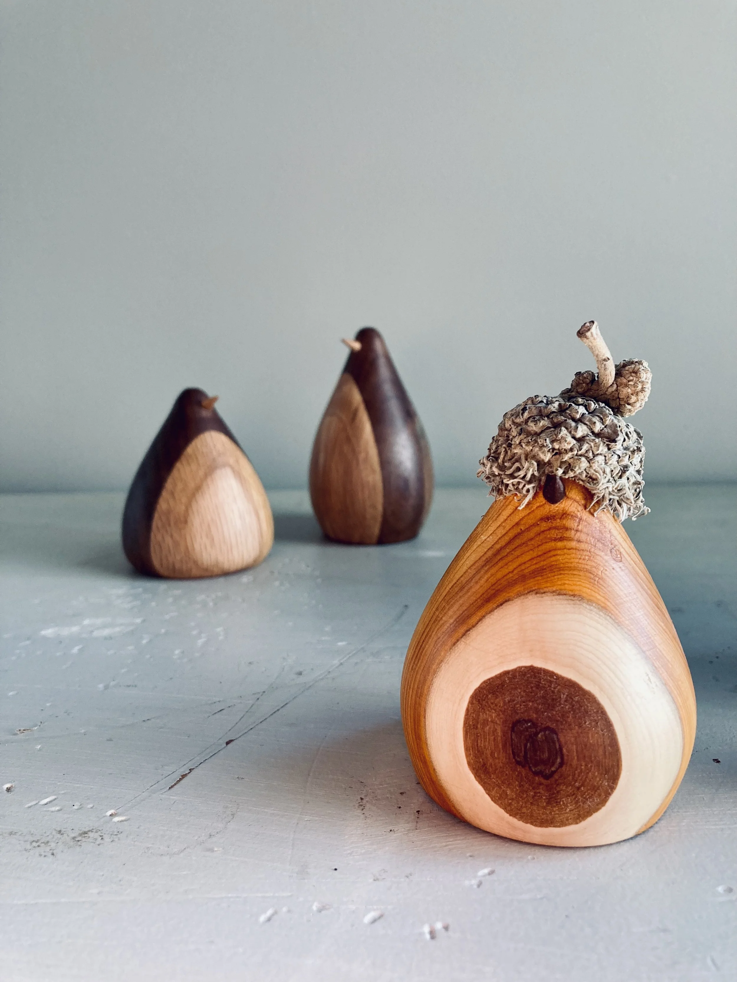 Birds & Penguins, $28