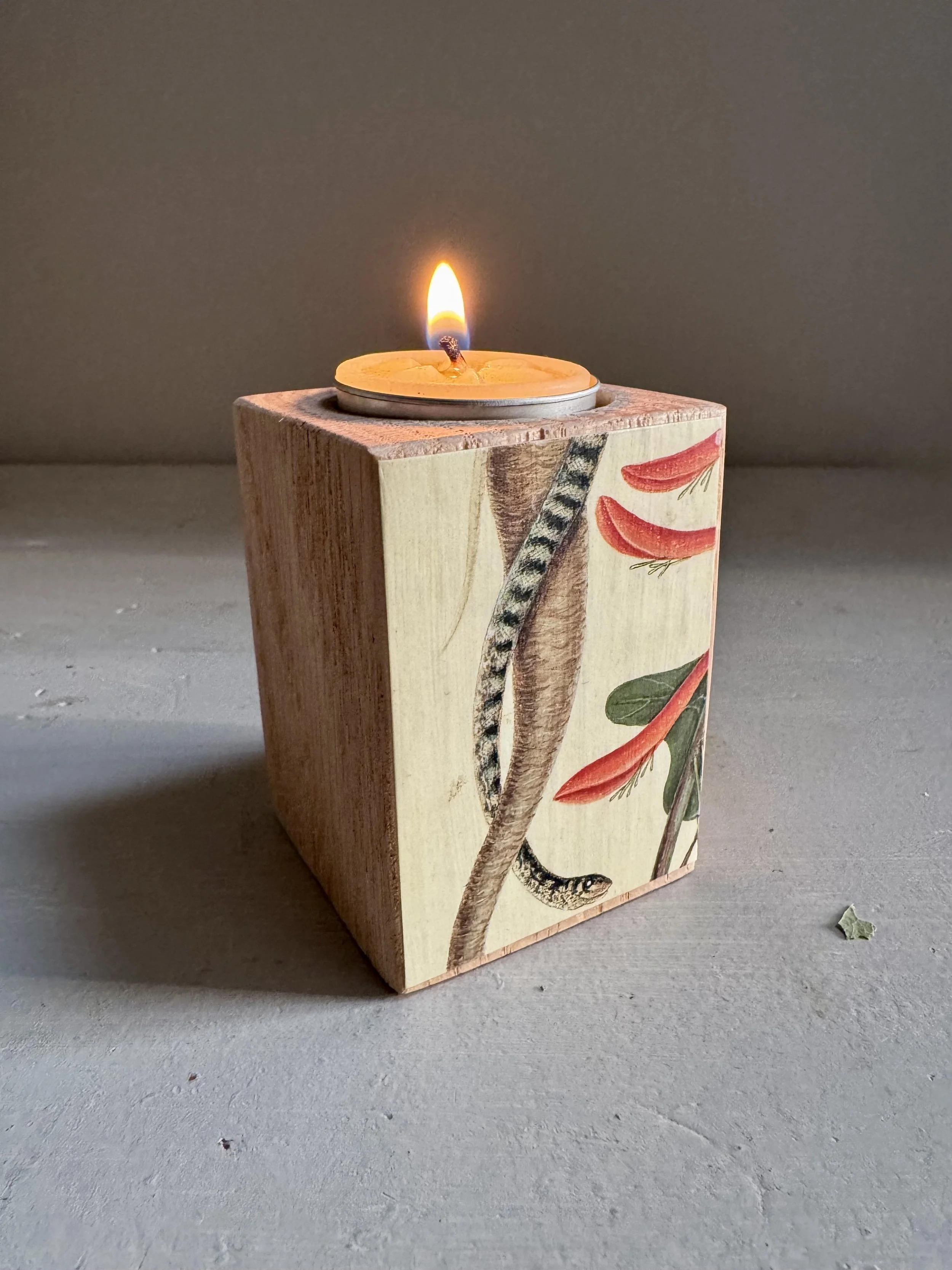 Corn Snake Candle Holder, $24