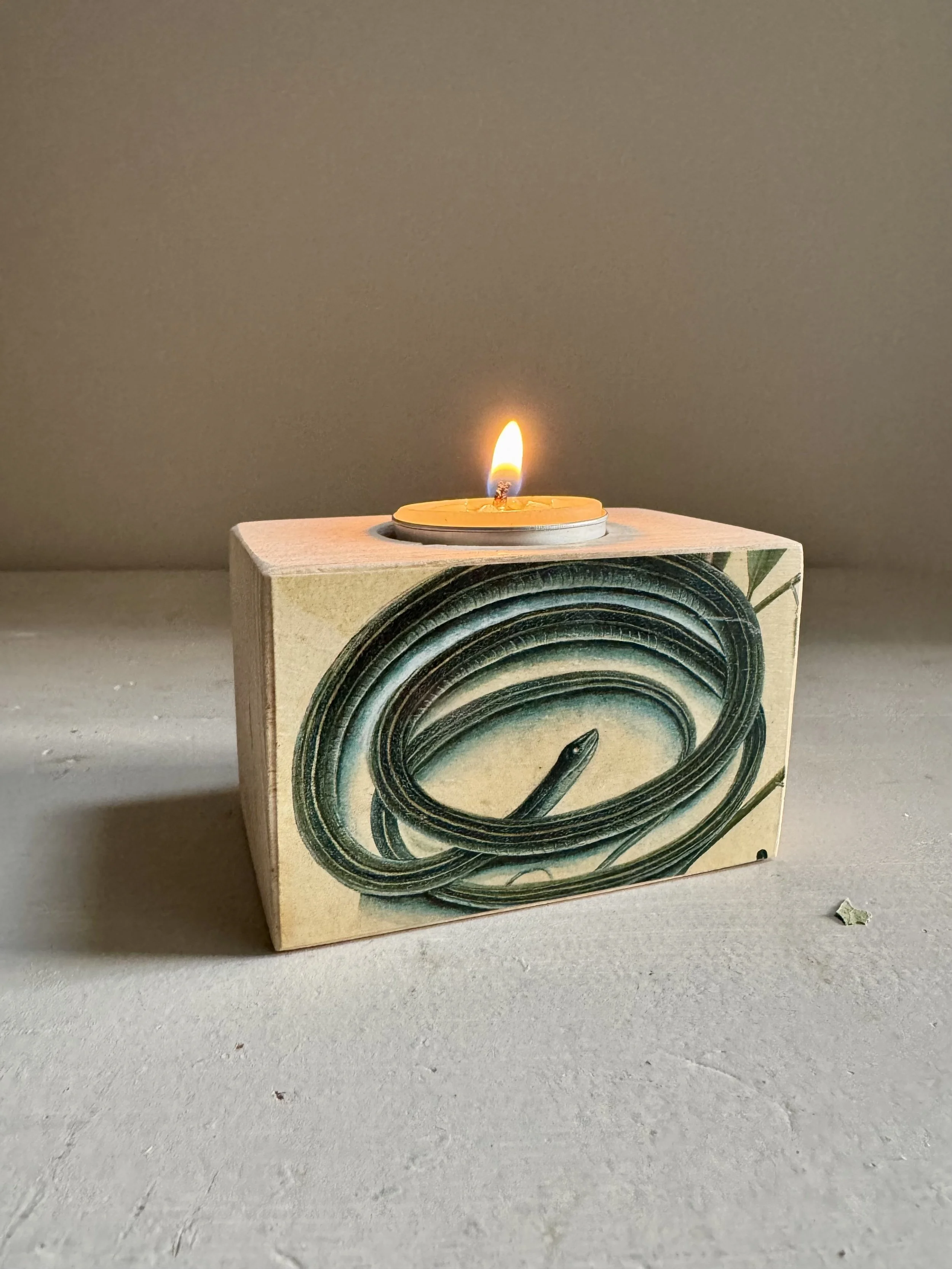Blue Ribbon Snake Candle Holder, $28