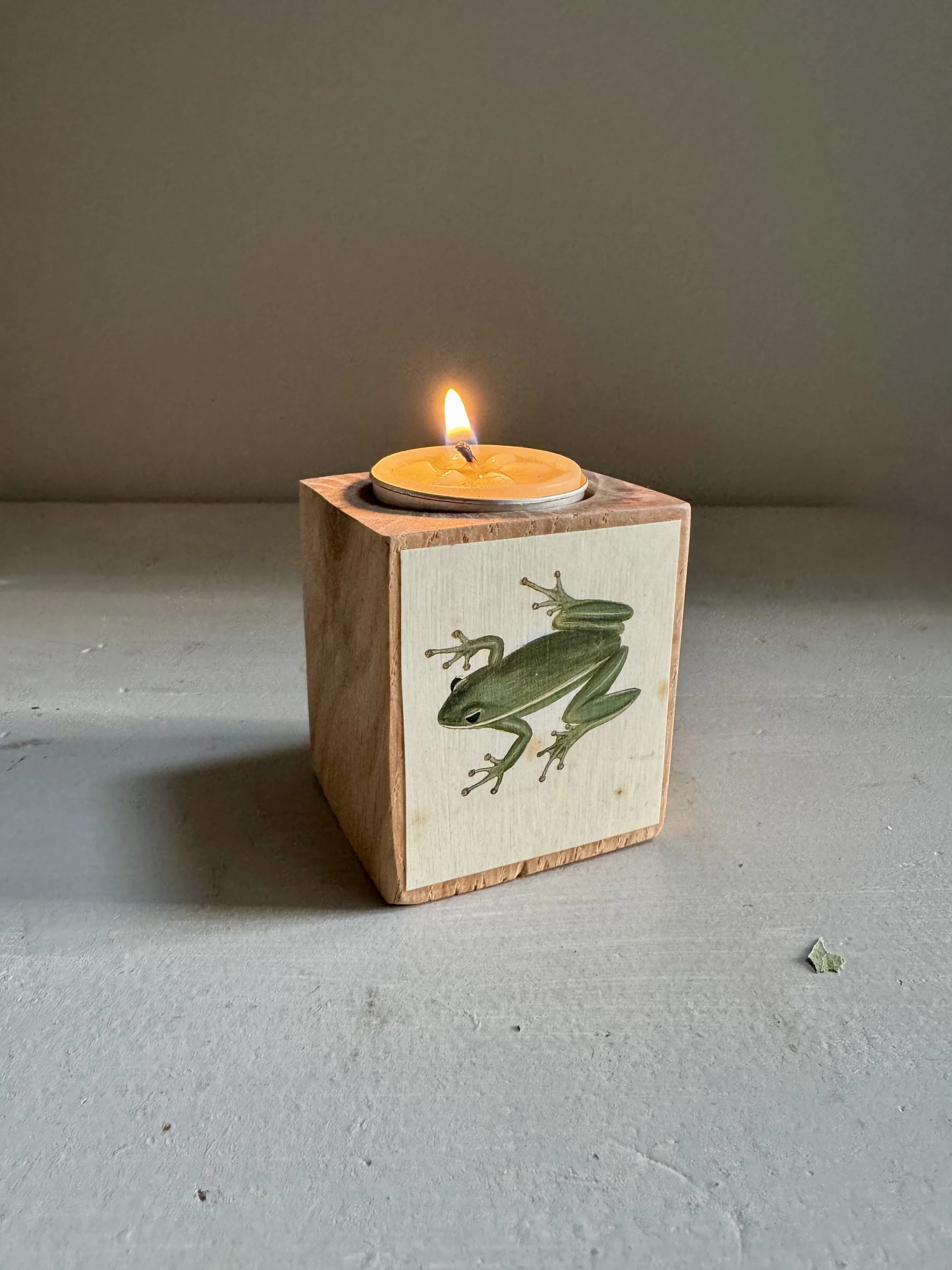 Little Green Frog Candle Holder, $24