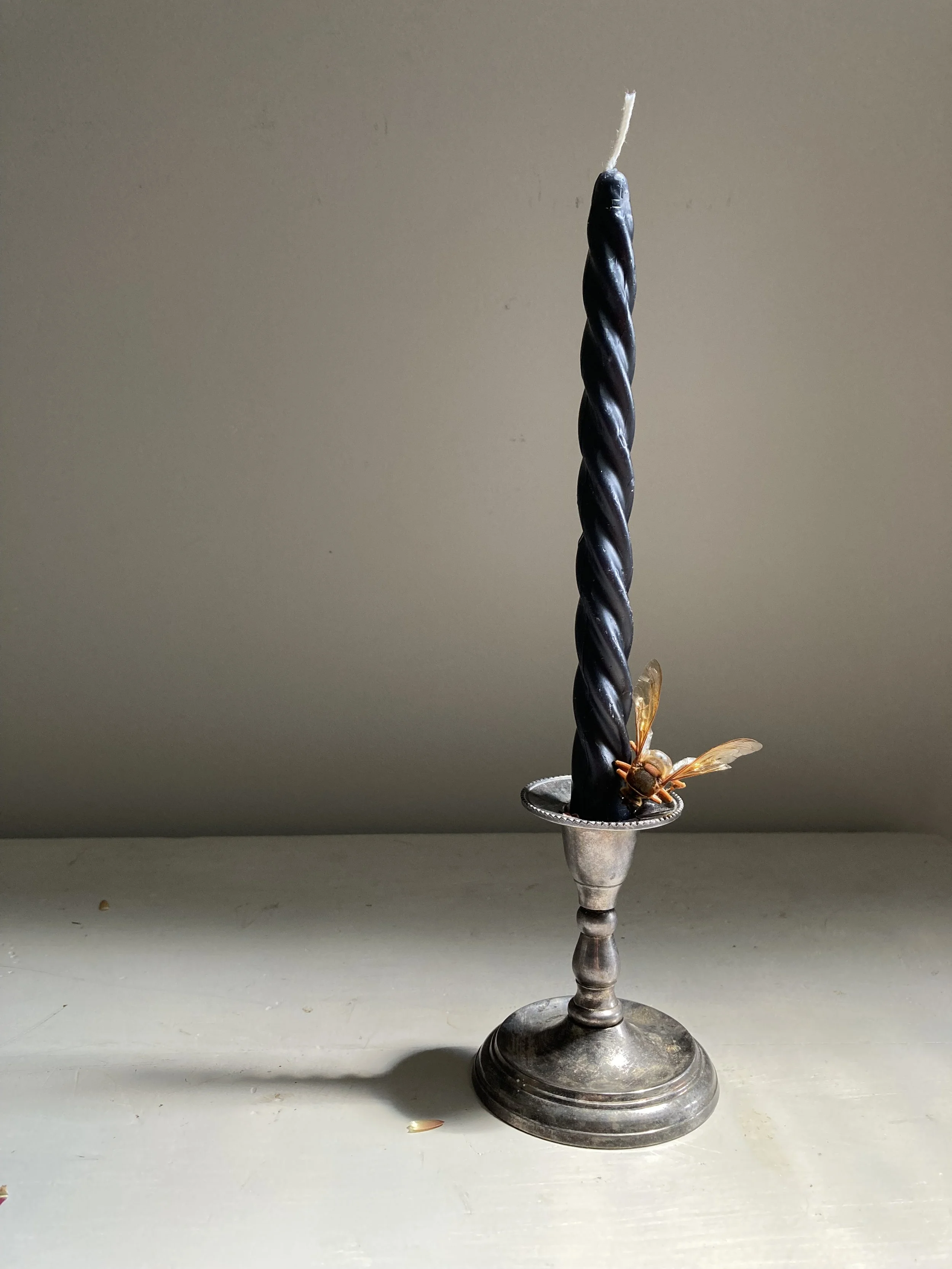 Black Beeswax Curly Tapers, $12