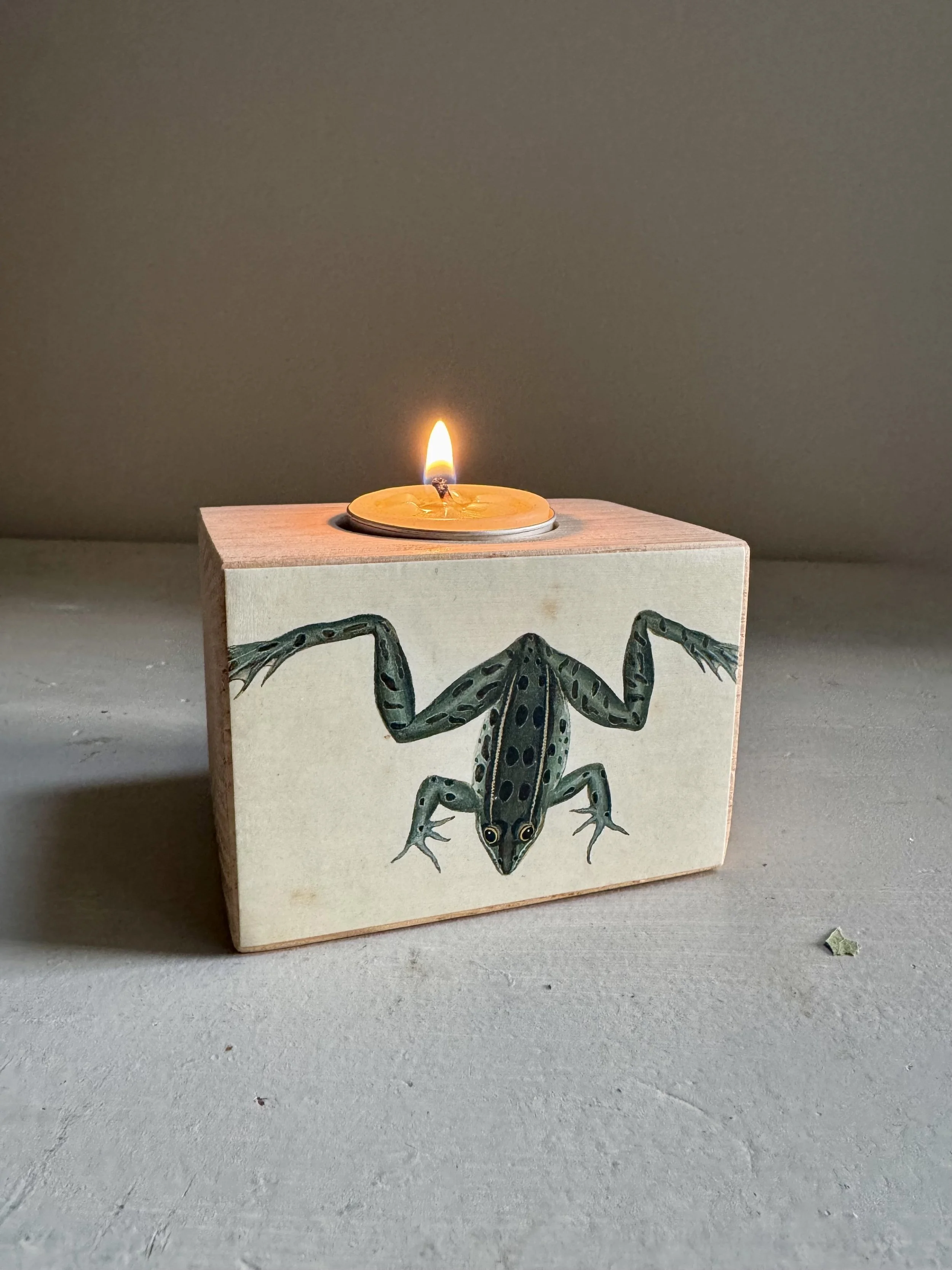 Frog Candle Holder, $28