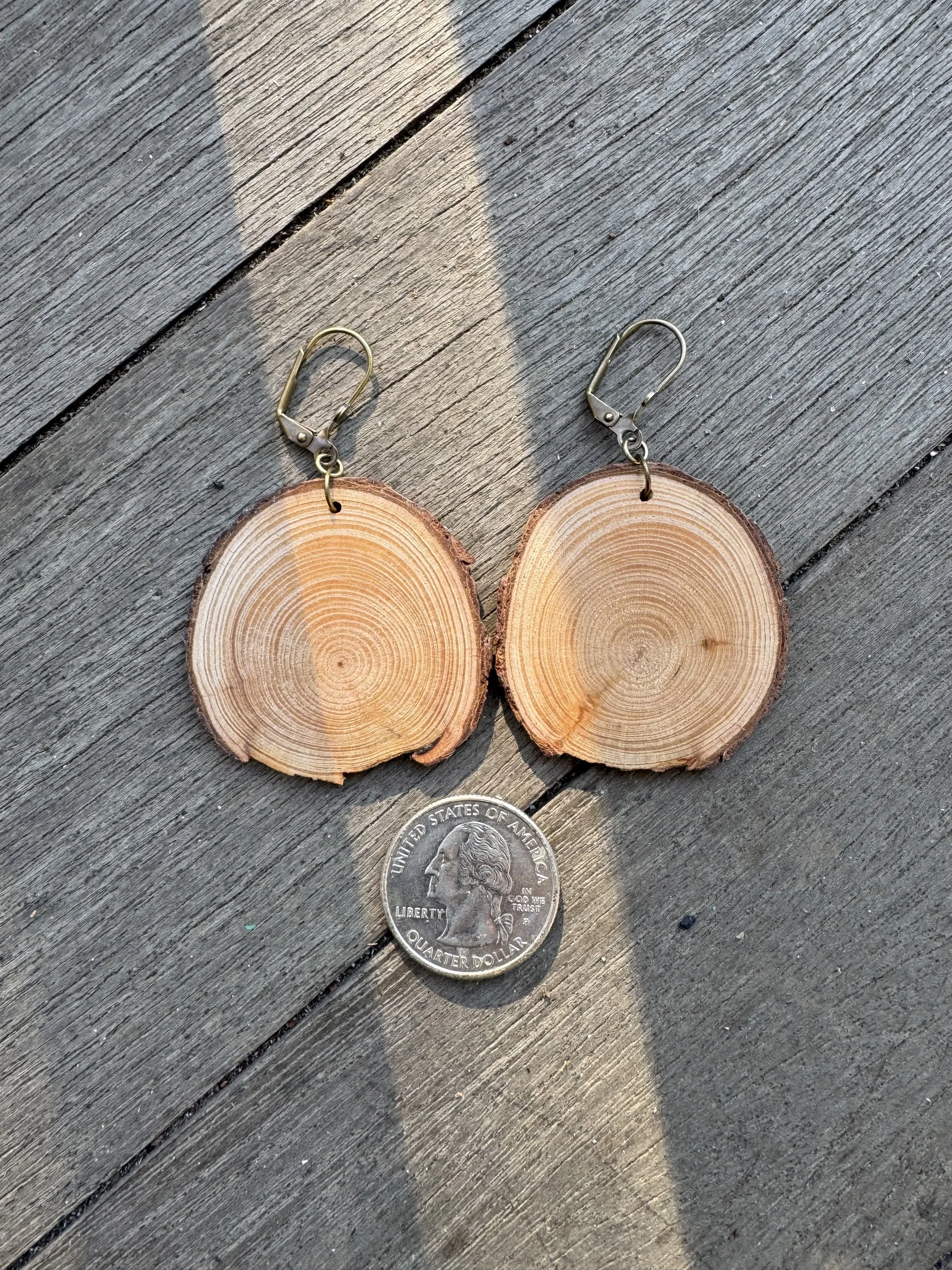 Tyler Arboretum's Cedar of Lebanon Earrings, $28