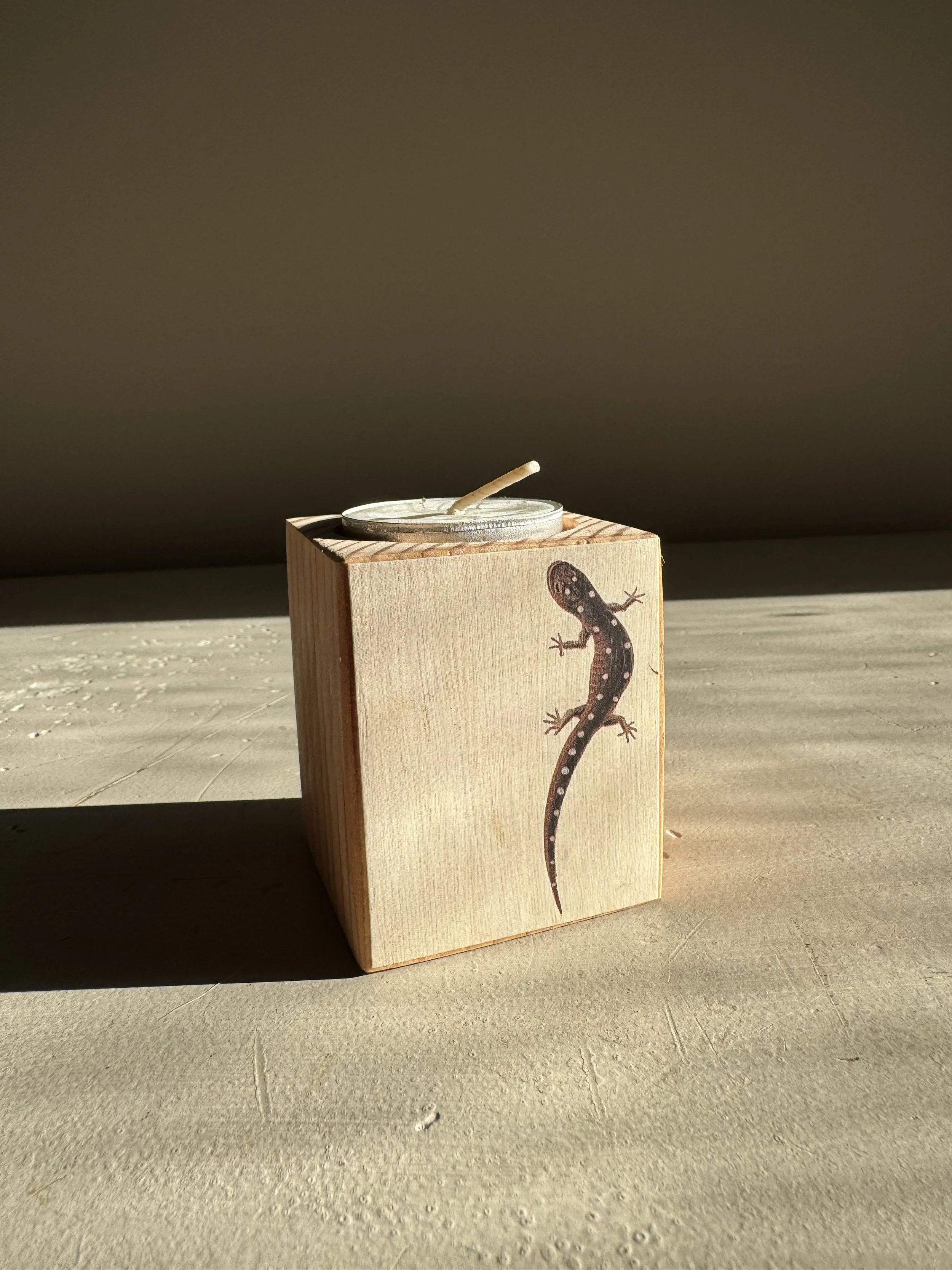 Salamander Candle Holder, $24