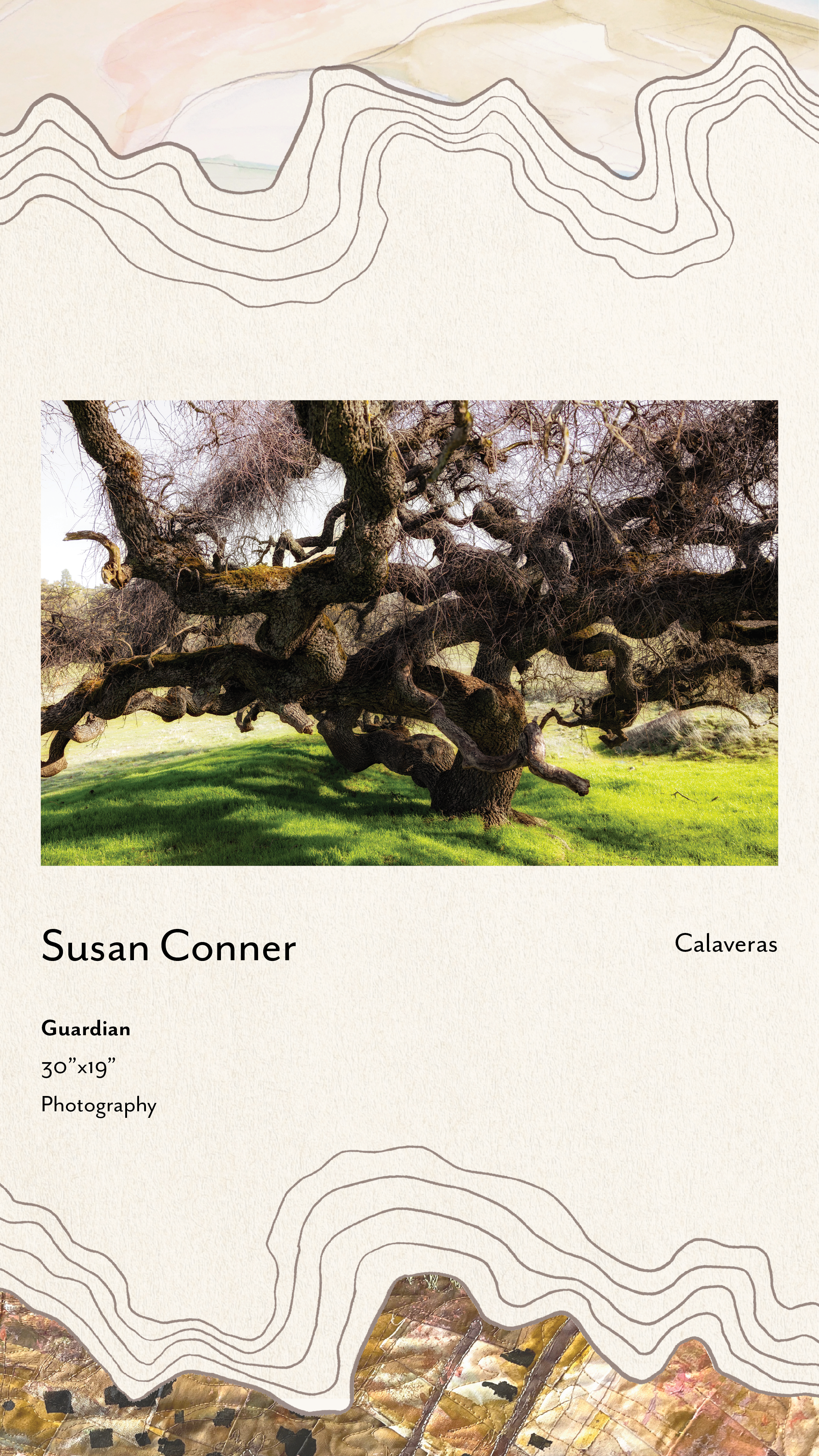 "Guardian" by Susan Conners (Calaveras)