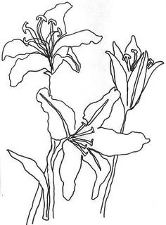 d755f5b758650964ddf274c2c0106b90--flower-line-drawings-continuous-line-drawing.jpg