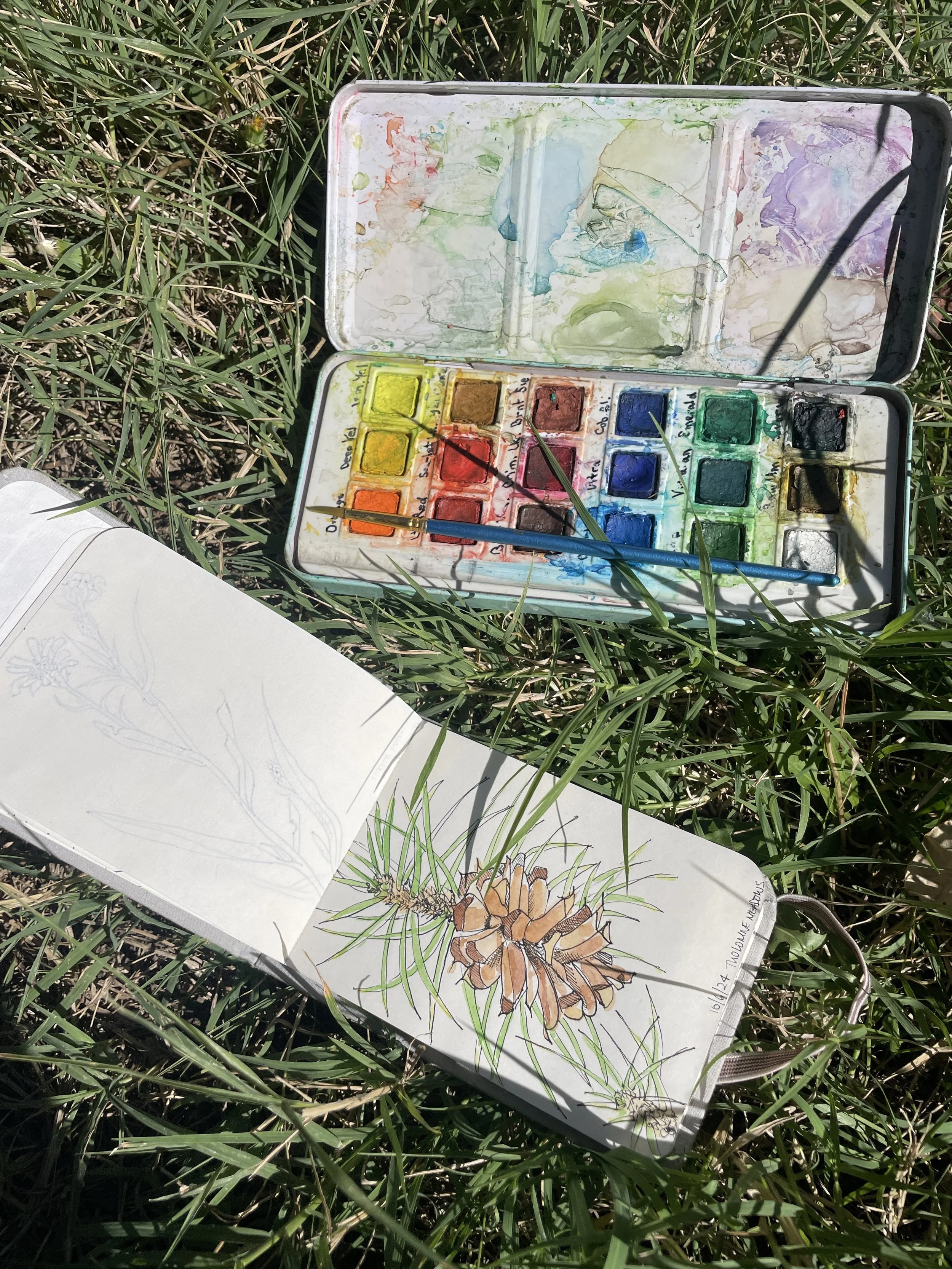 FREE CLASS - Nature Journaling with Naomi