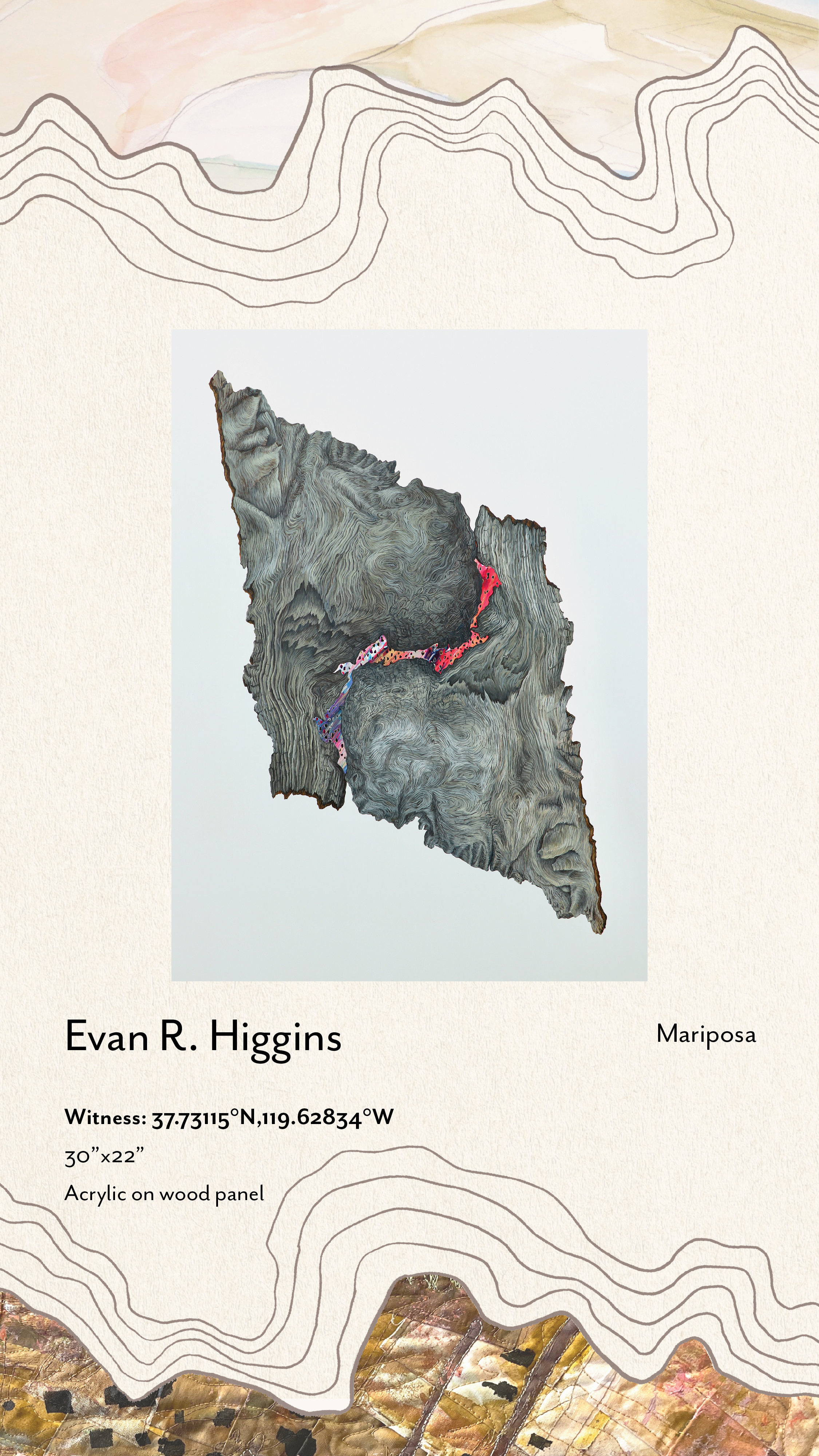 "Witness..." by Evan R. Higgins (Mariposa)