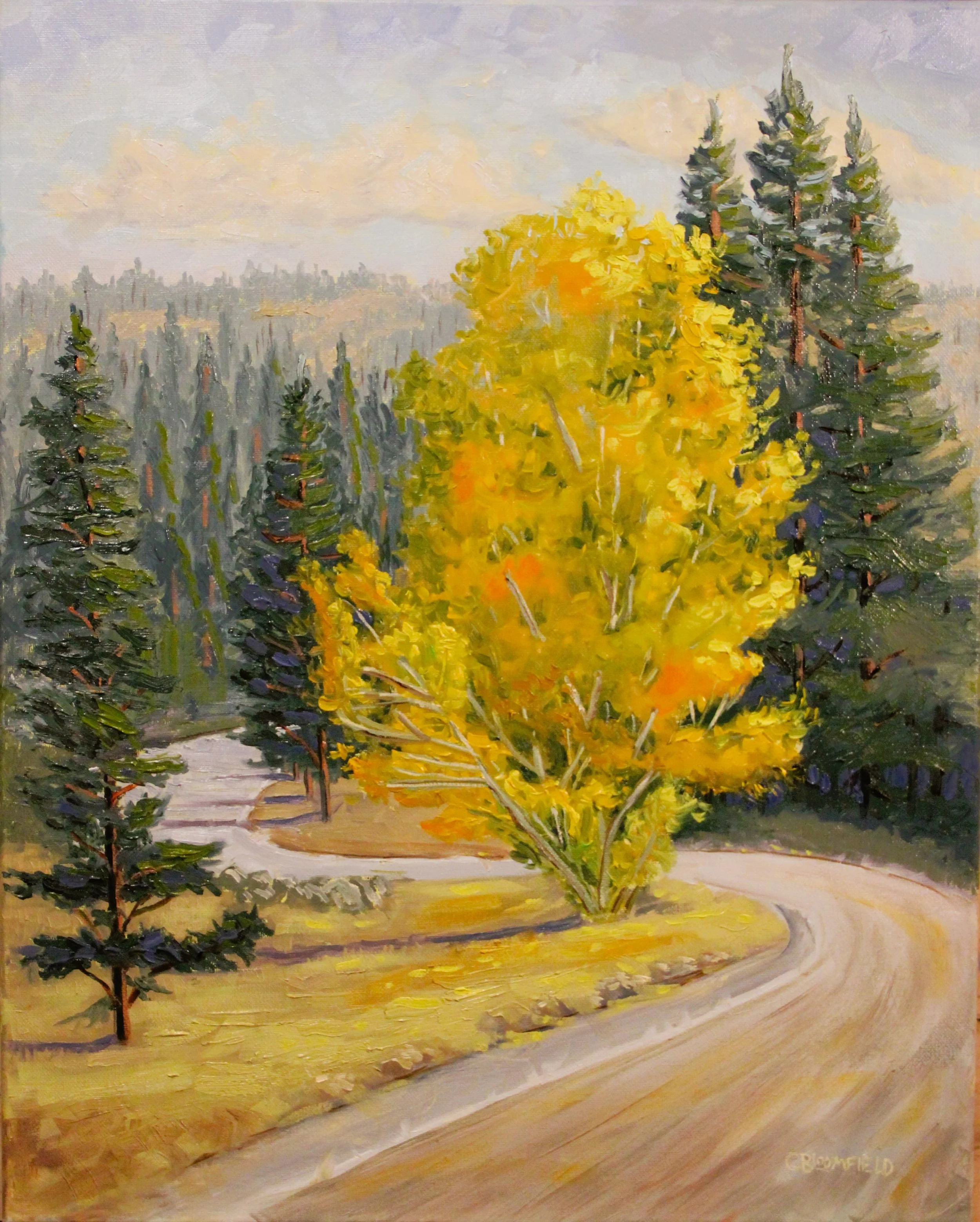 Cheryl Bloomfield_Glory in the Forest.JPG