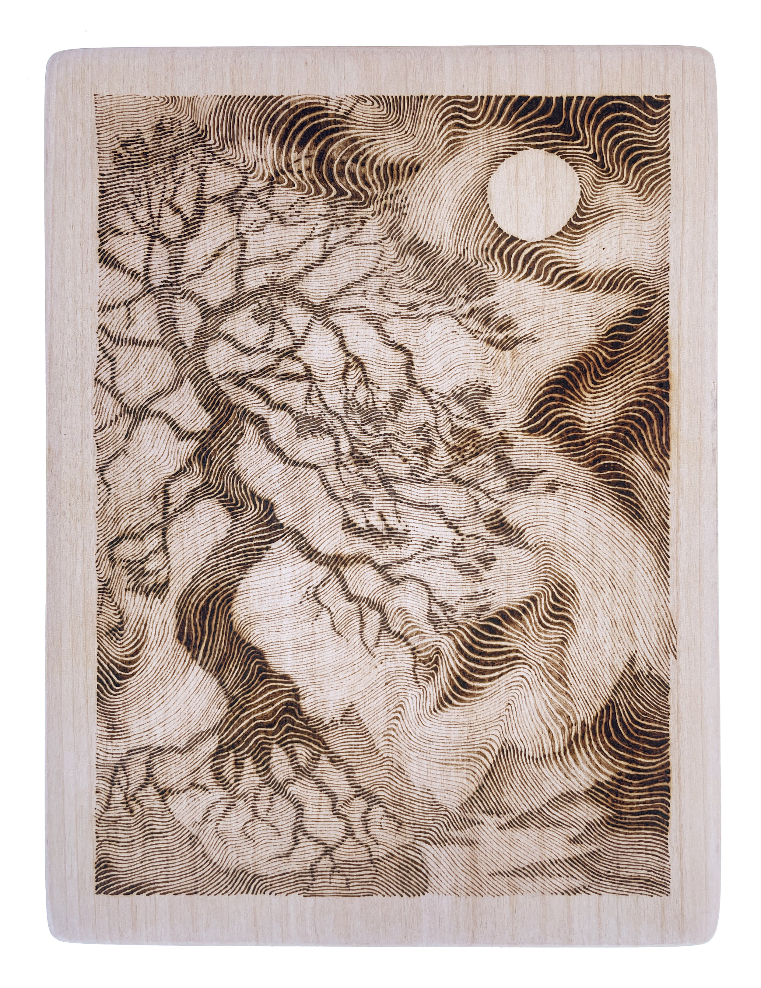 Ava Covington_Juniper in Flow copy.JPG