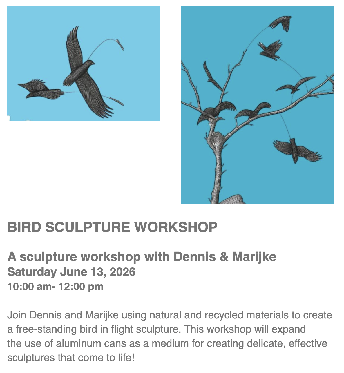 Bird Sculpture Workshop