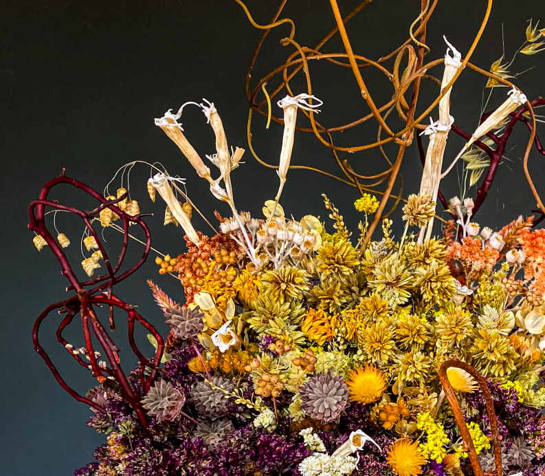 Screen Shot 2026-02-15 at 11.37.16 AM.png