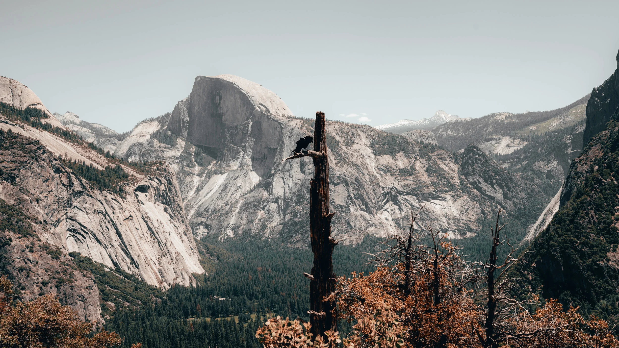 Yosemite National Park, CA