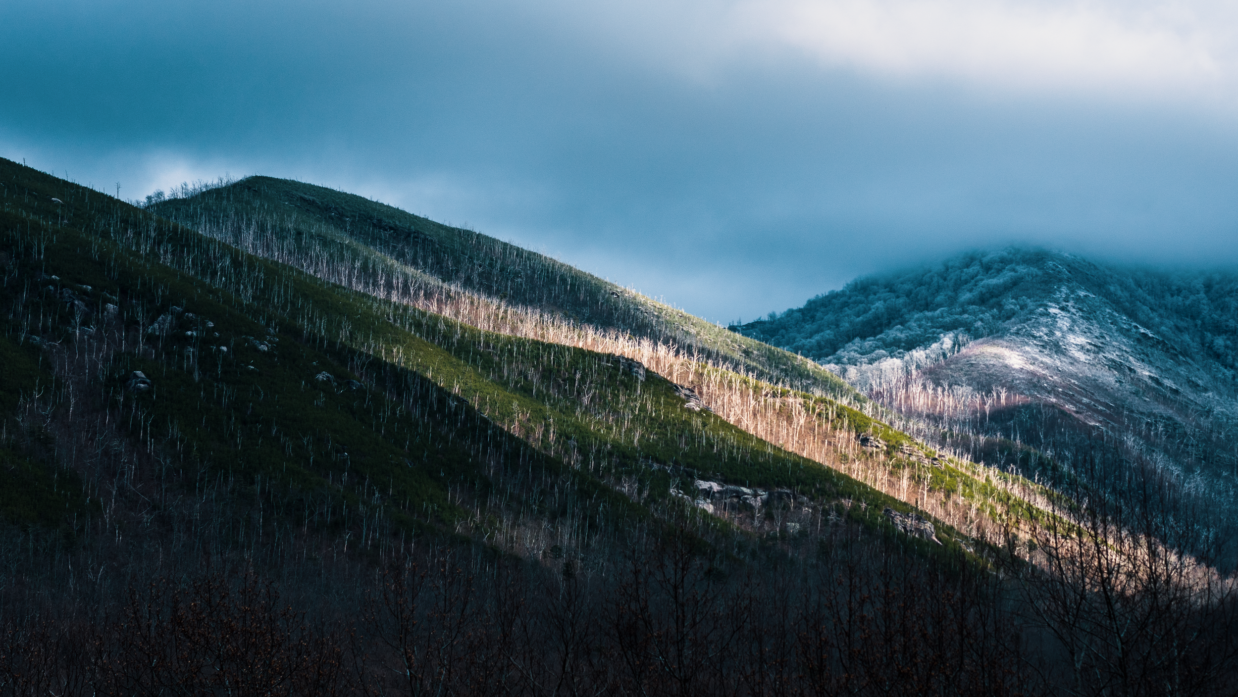 smokies(sqsp)-2.png