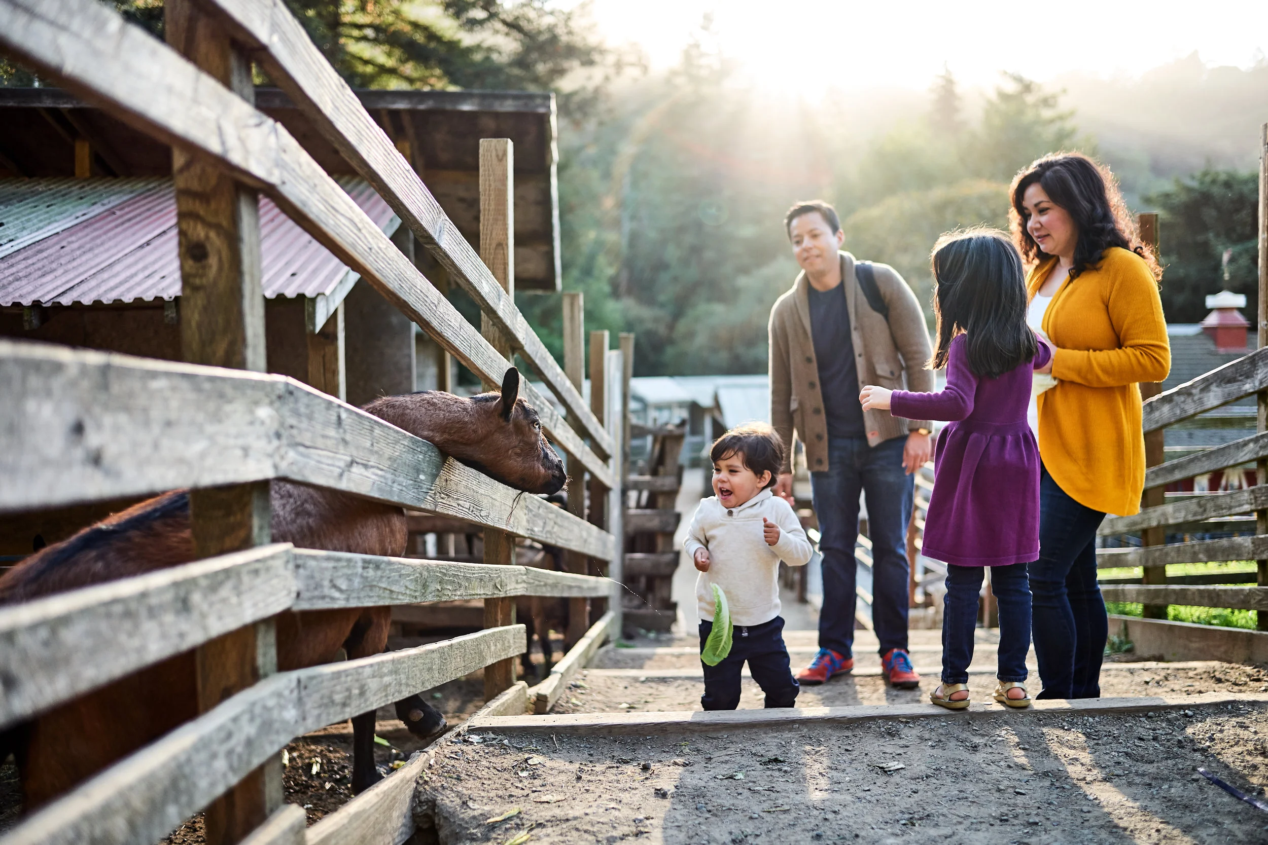 Family_03_goatencounter.jpg