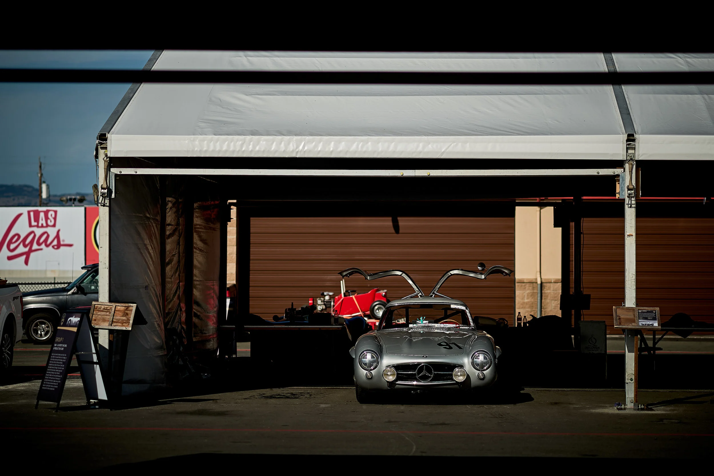 147_SSF_ALVIN_Paddock 27.jpg