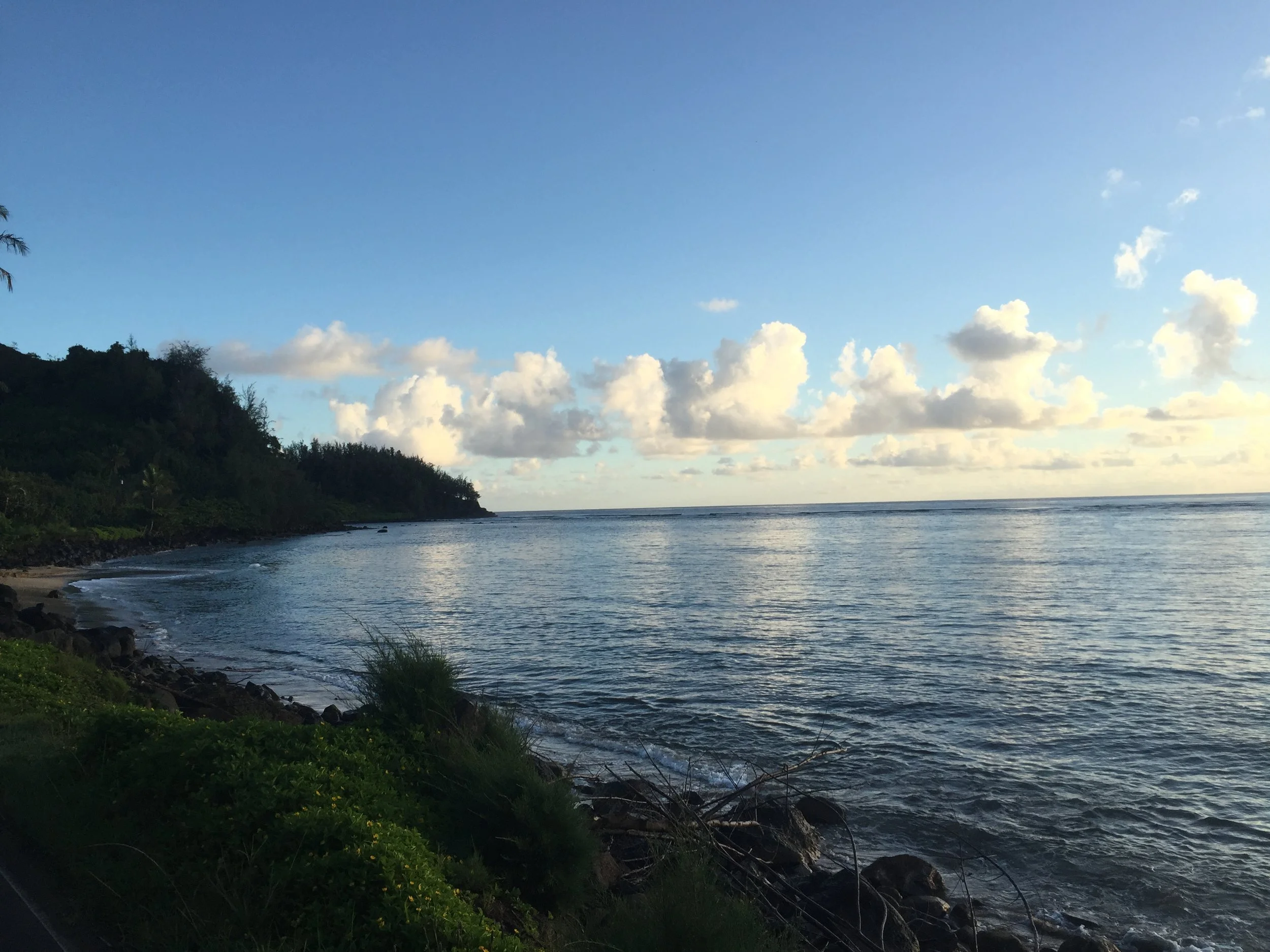 The Business of Climate