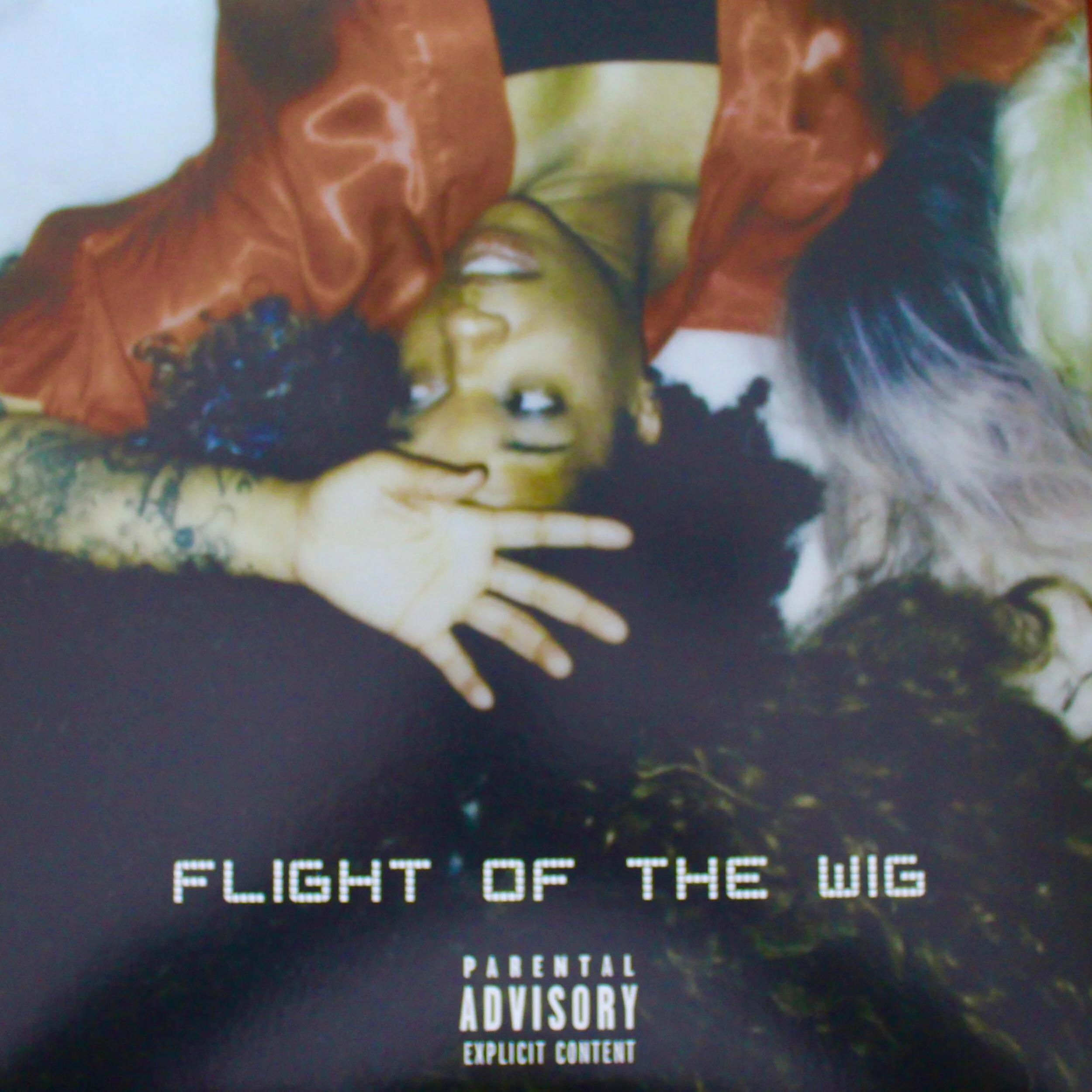 FLIGHT OF THE WIG VINYL w/ BONUS TRACK - AVAILABLE NOW