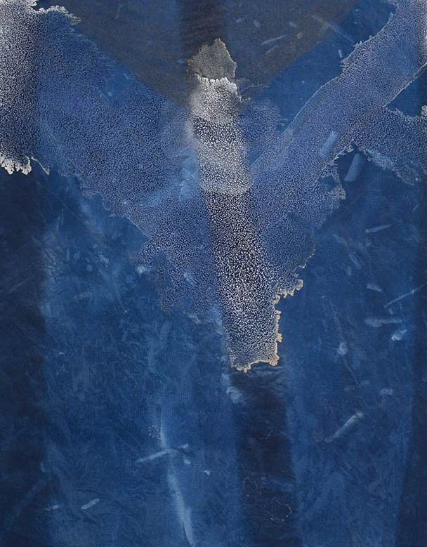 Flight , 20” x 16”, graphite, salt crystals, and cyanotype on stretched muslin (2016)