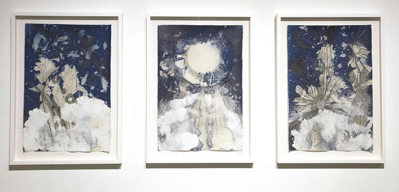 Migrations, Heavens, Suns , 34.25” x 25.5'“ each, graphite, salt crystals, cyanotype on water color paper (2016)