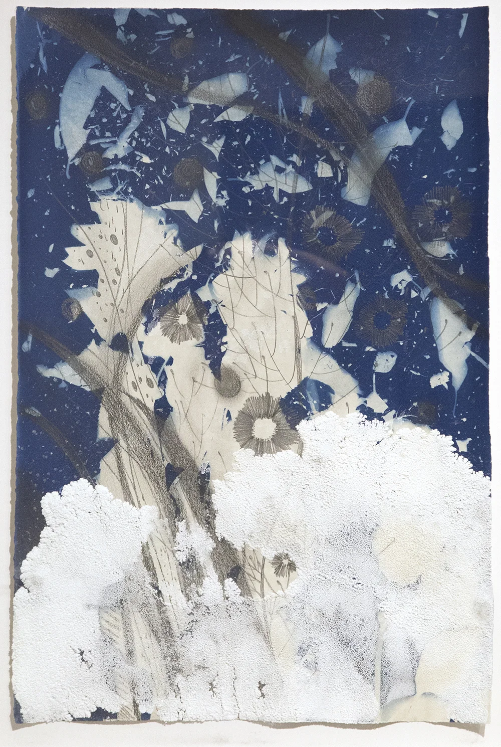 Migrations , 34.25” x 25.5'“ with frame, graphite, salt crystals, cyanotype on water color paper (2016)