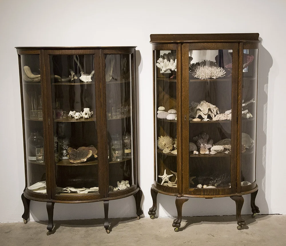 Curios, 19th century curio cabinets with artist collection from over a decade (2016)