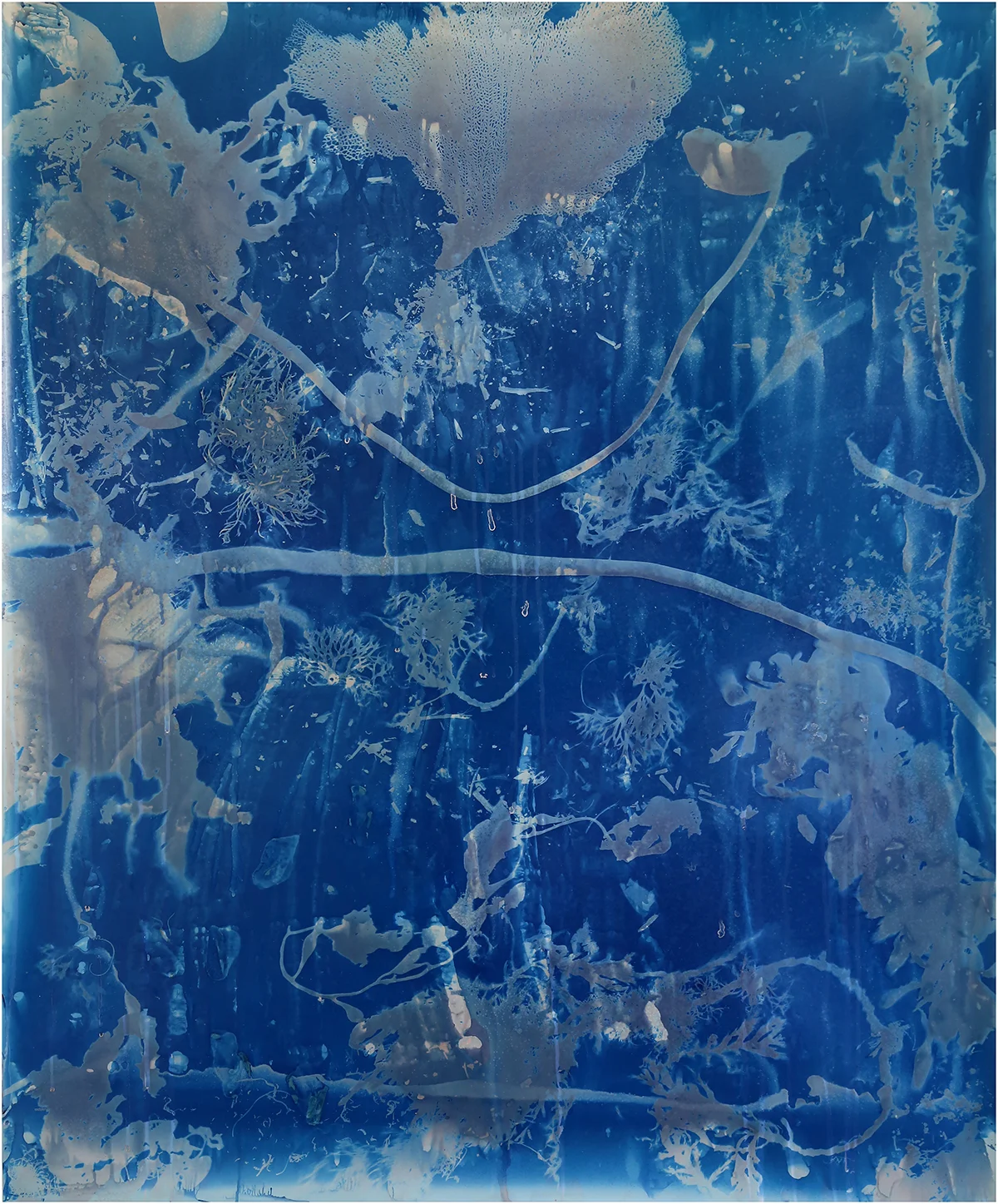 Seaweeds and Sea Kelp , 50.5 “ x 43.5” x 1.75”, salt crystals and cyanotype on unprocessed color photo paper (2014)