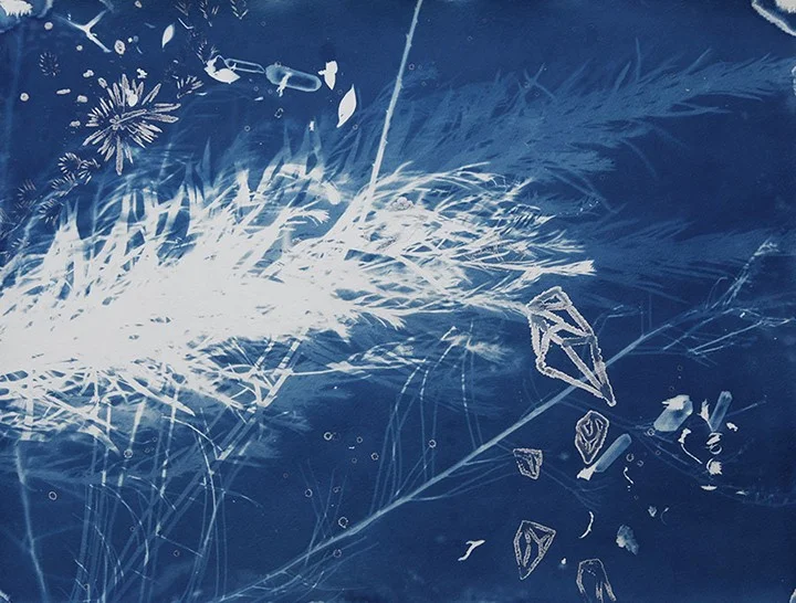Drops , 15"x 20", cyanotype and salt crystals on paper (2010)