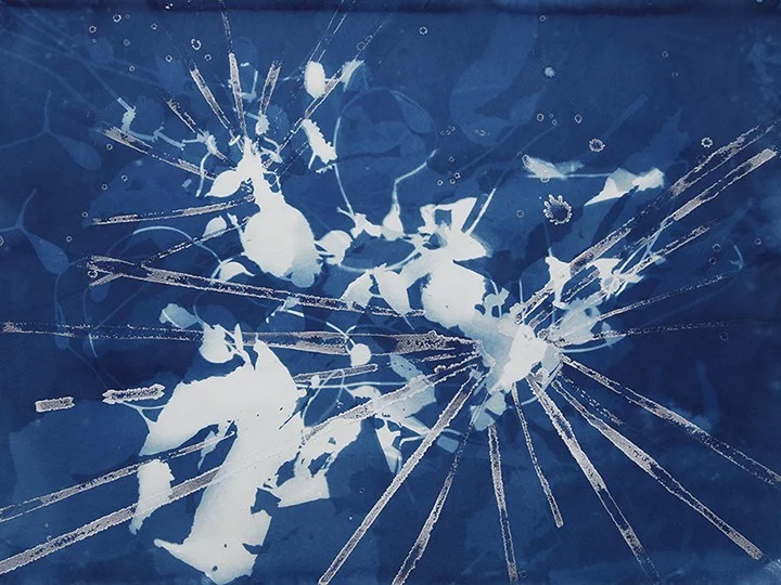 Sea Rays , 15"x 20", cyanotype and salt crystals on paper (2010)